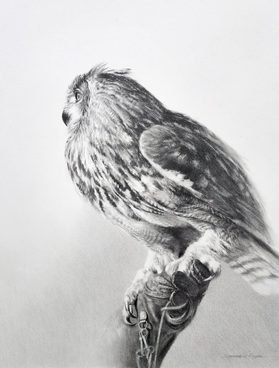 Tethered Talons