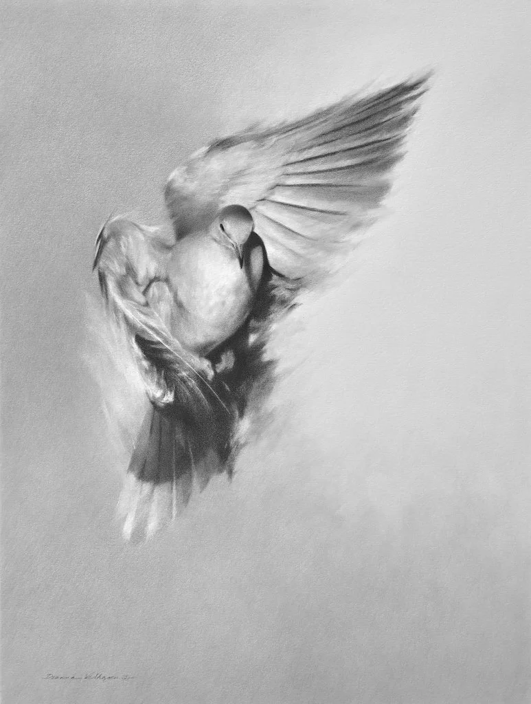 Mourning Flight