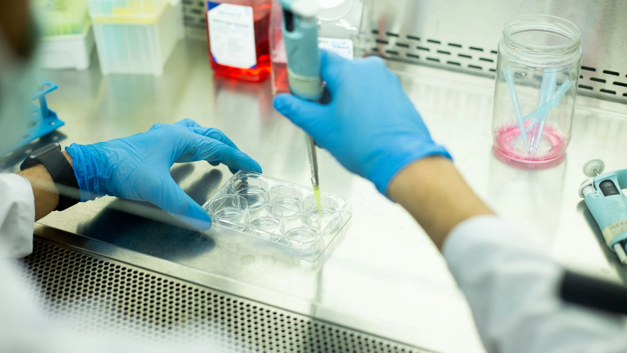 A scientist wearing blue gloves is using a pipette to transfer liquid into a multi-well plate in a laboratory setting. There are various lab supplies and equipment on the stainless steel work surface.
