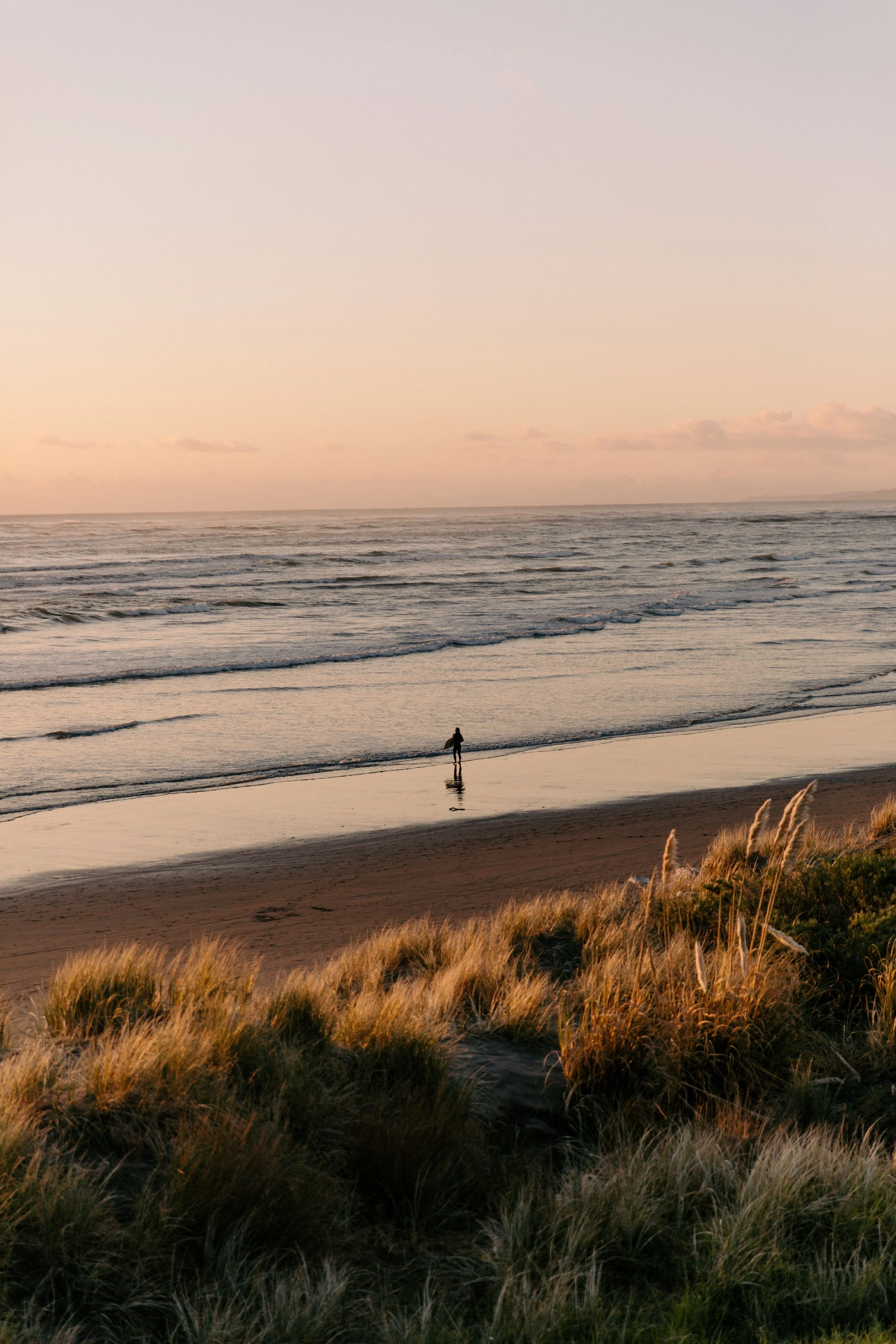 Surfer standing at the shoreline of a beach during a pastel sunset, with rolling ocean waves and windswept dune grass in the foreground.