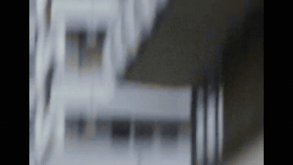 akya2026--golds-gym-x-alpha-industries-2024--05.gif
