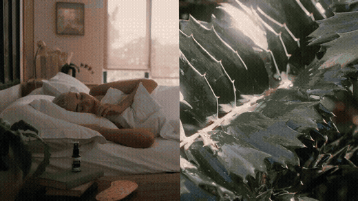 akya2026--natural-elements-dc-edit-campaign-2024--05.gif