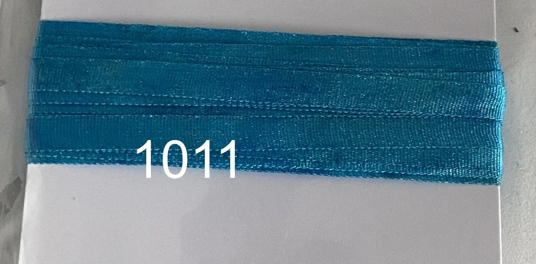 1011.JPG