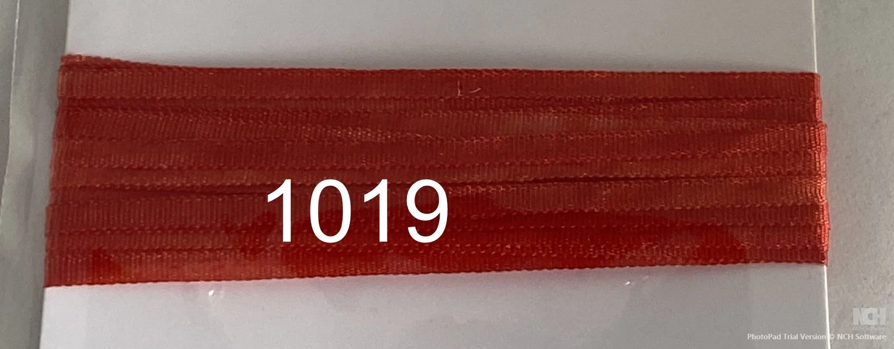 1019.JPG