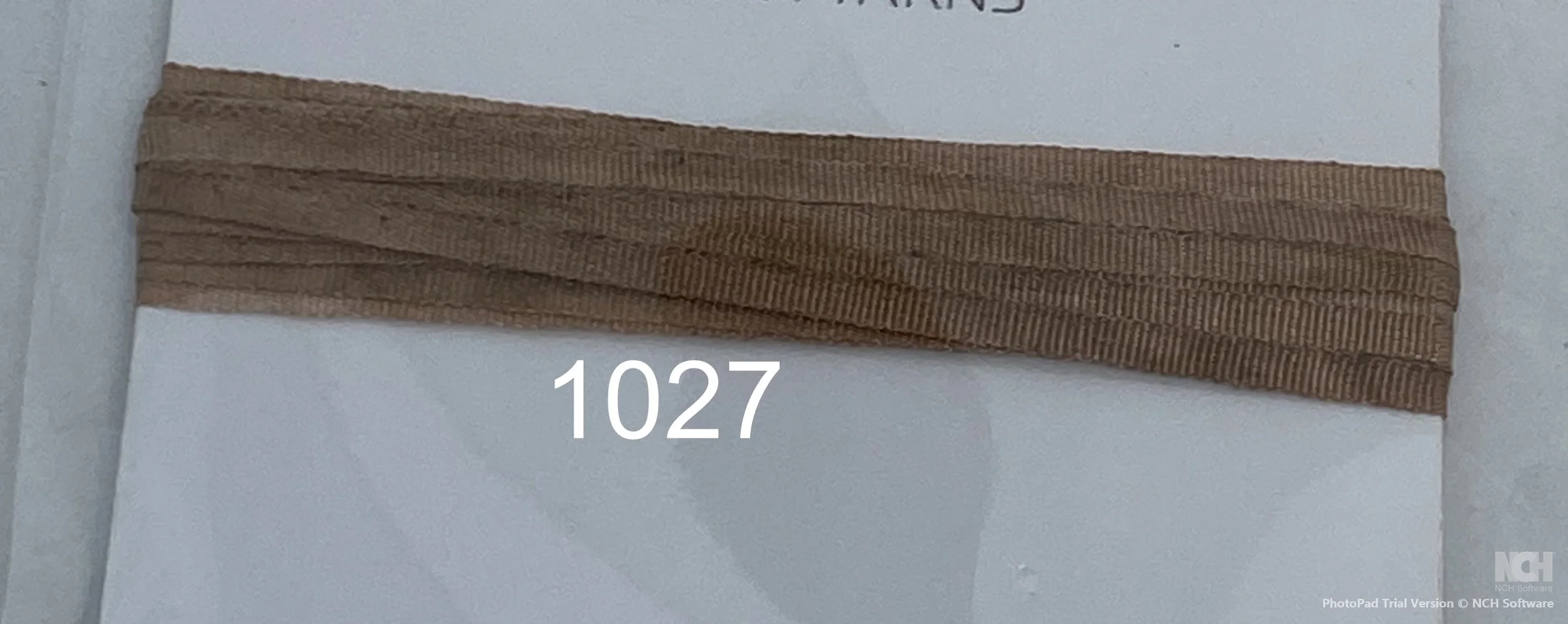 1027.JPG