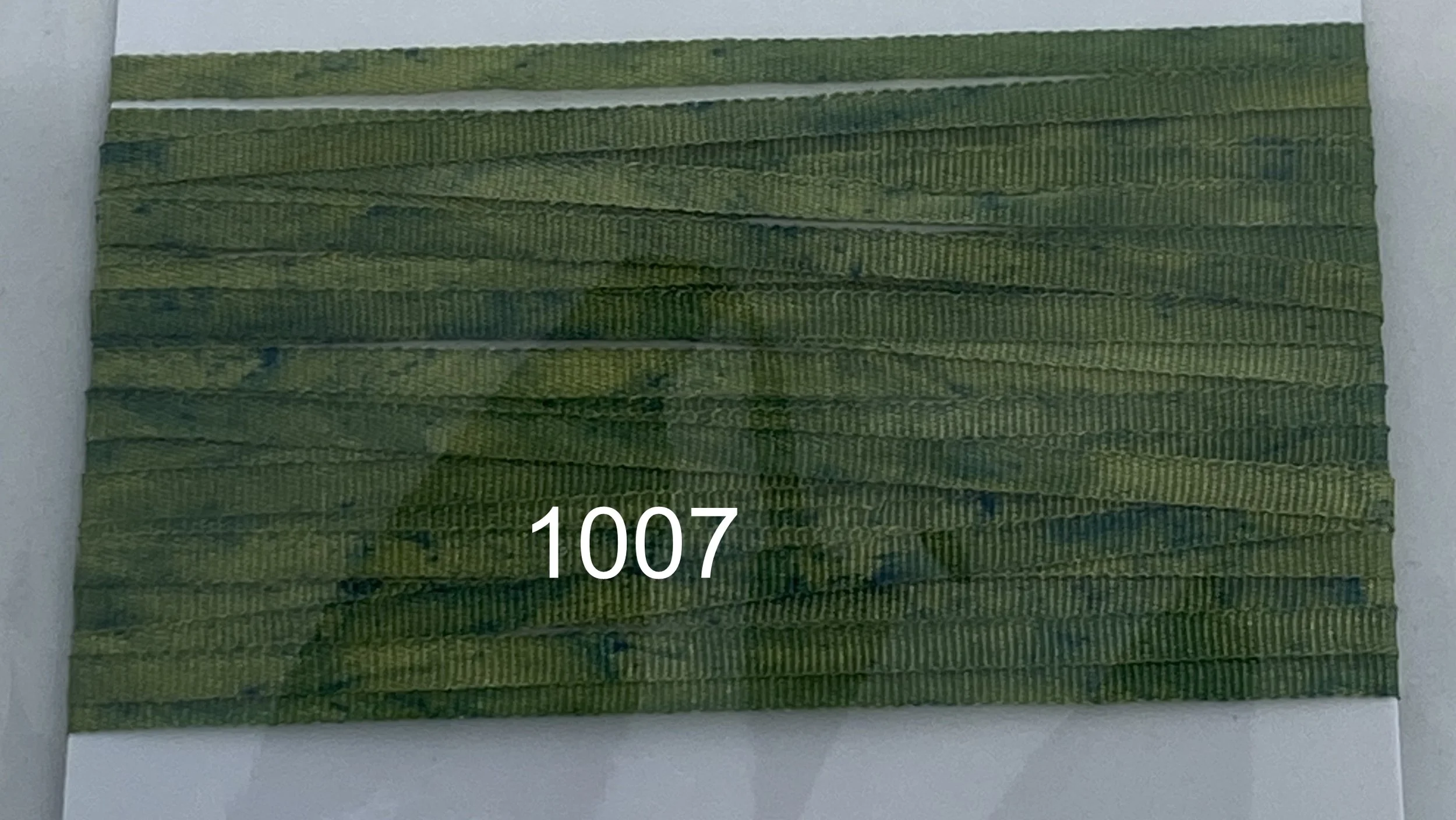 1007.JPG