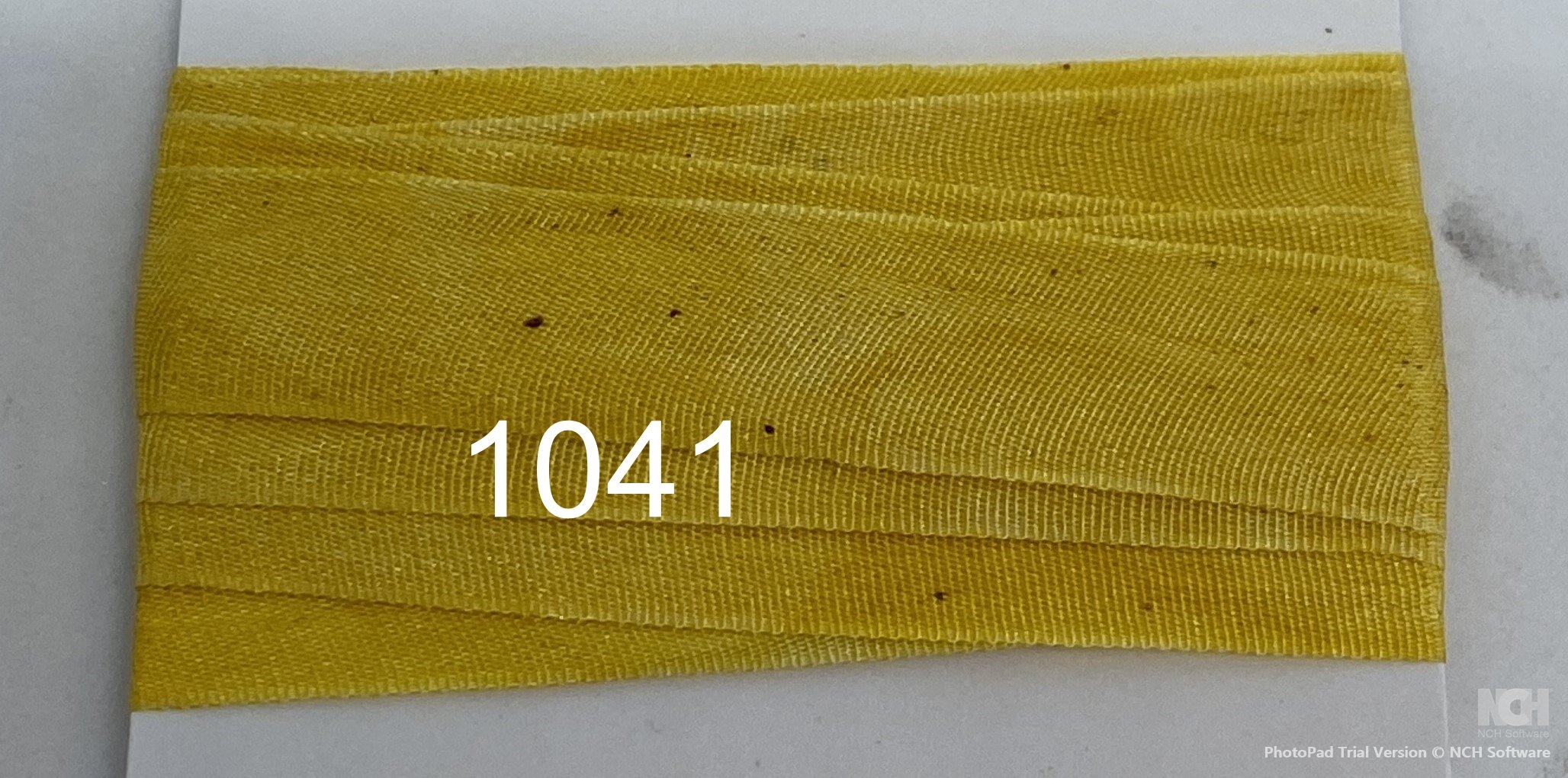 1041.JPG