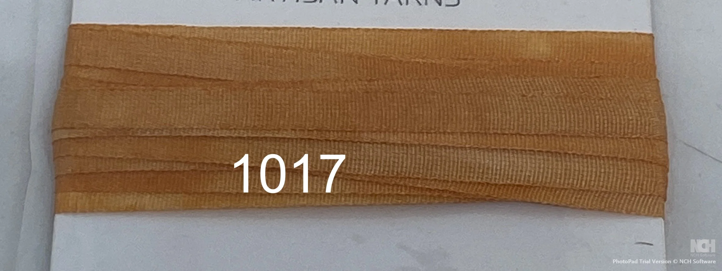 1017.JPG