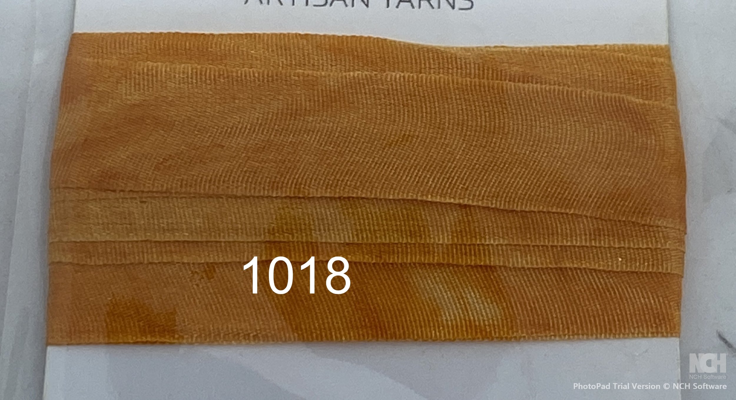 1018.JPG