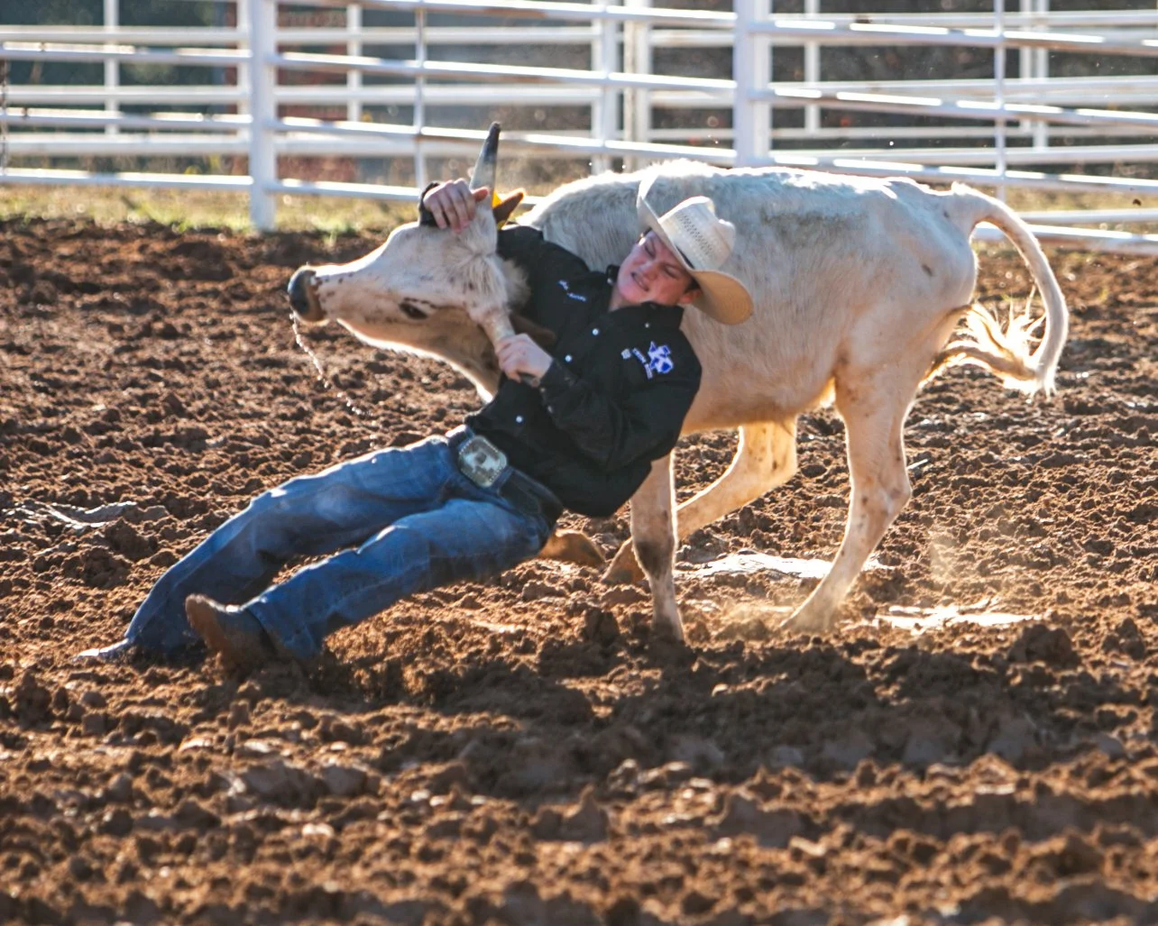 A cowboy in a black shirt and cowboy hat wrestling a young calf on dirt in a fenced outdoor arena.