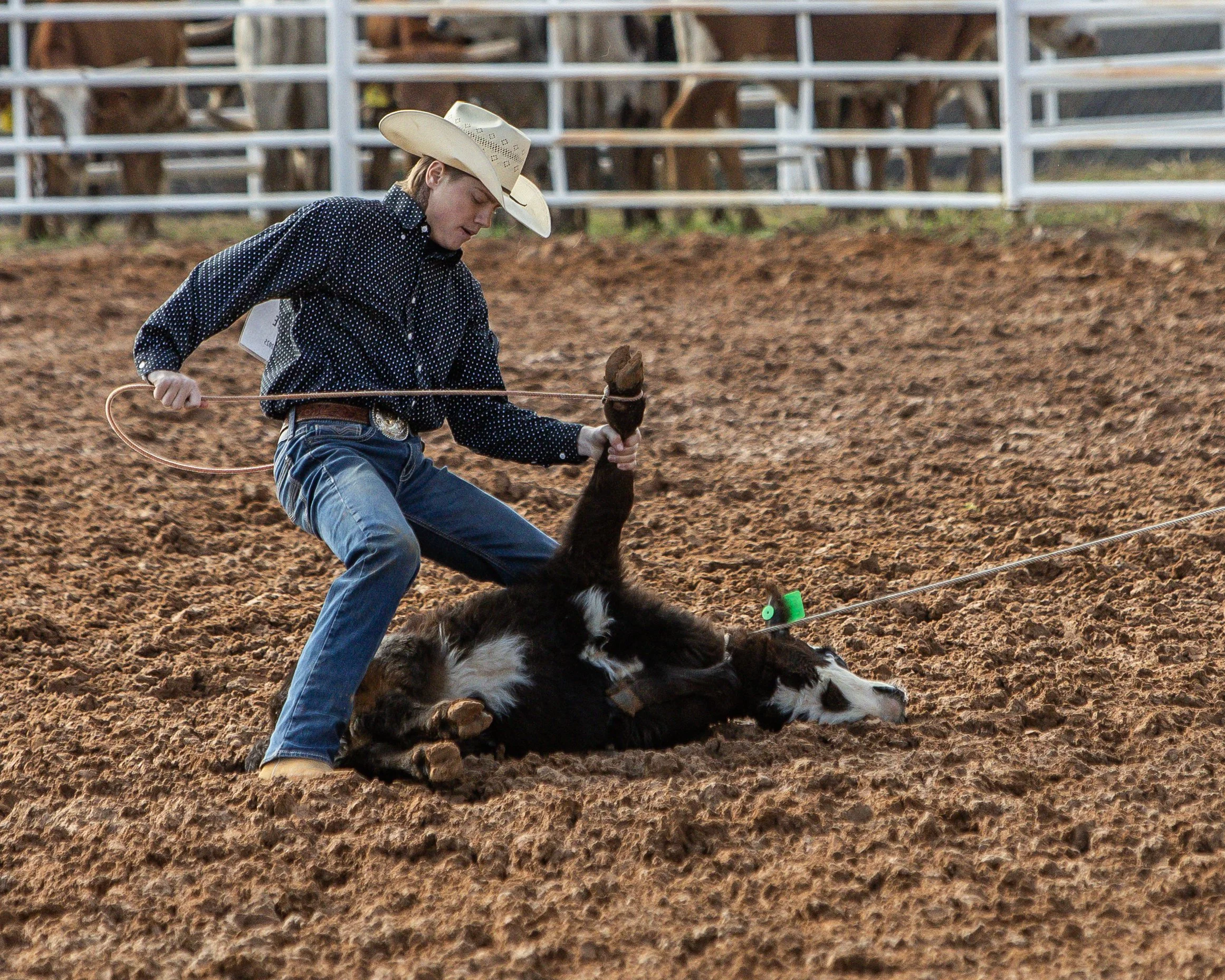 A person in western attire, including a cowboy hat, long-sleeve shirt, jeans, and boots, is riding a black and white horse on a dirt arena, with a white fence and wooden structures in the background.