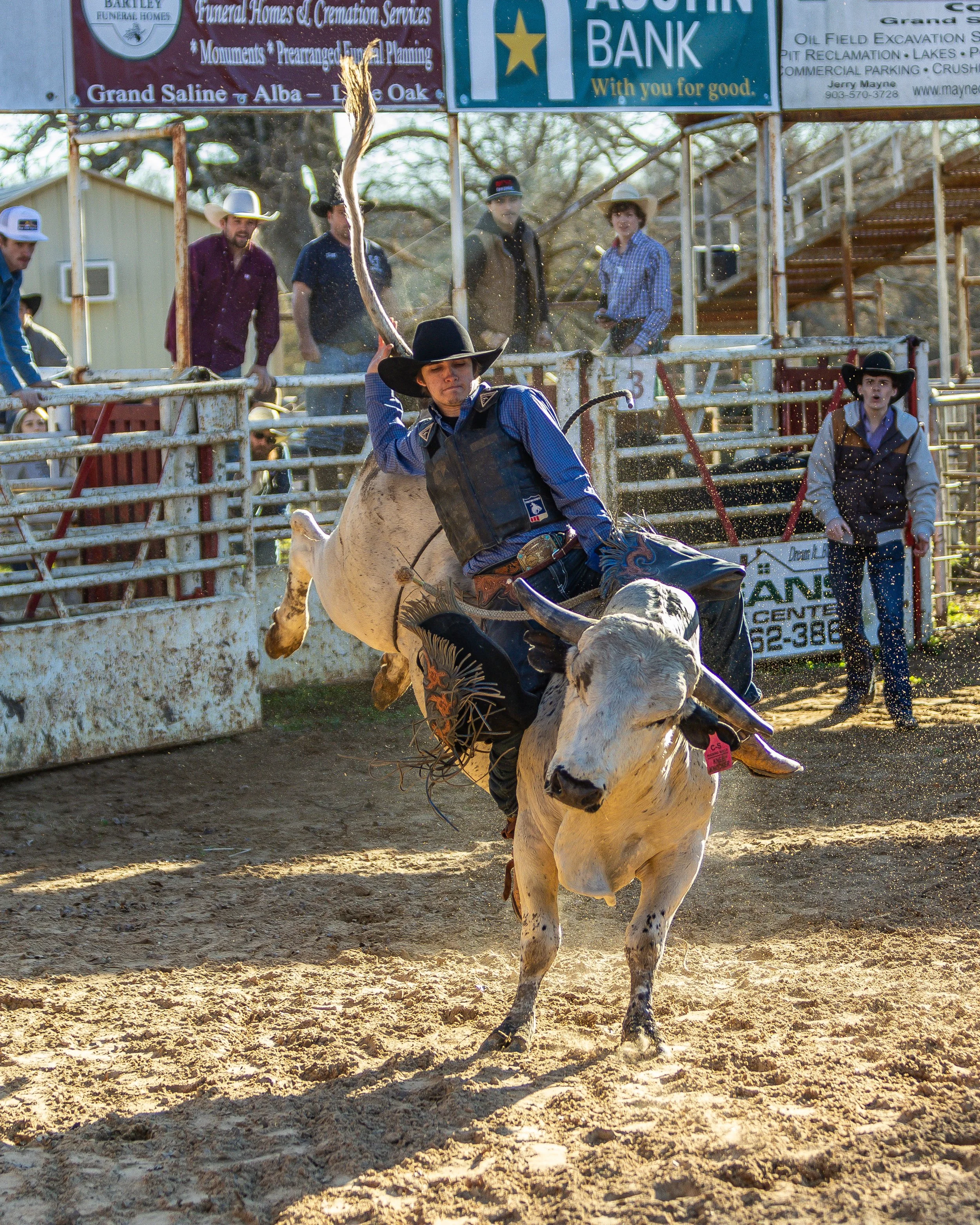 A rodeo event featuring a cowboy in a blue plaid shirt and black hat riding a bucking bull in a dirt arena, with spectators and officials watching from the sidelines.