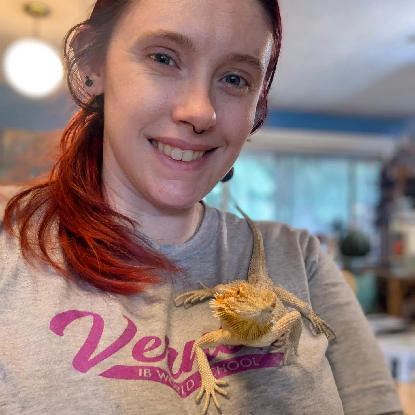 Little Einar, one of the pet shop beardie rescues, has been doing so well. We are still battling the pin worms as he had quite the bad infestation. But this has given me the time to handle him and get him used to people. 

He has quite the adorable, 
