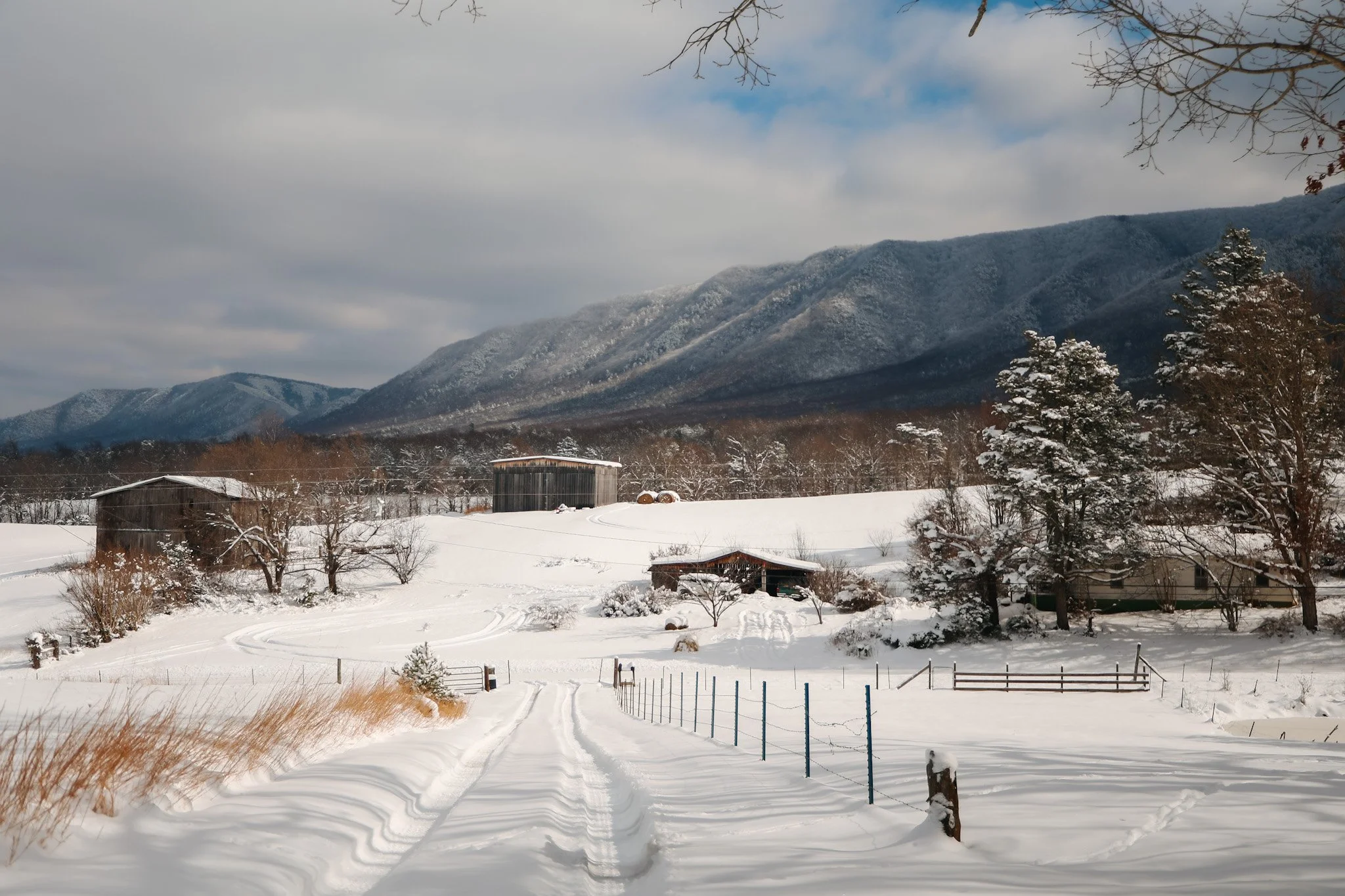 Appalachian Snowfall 