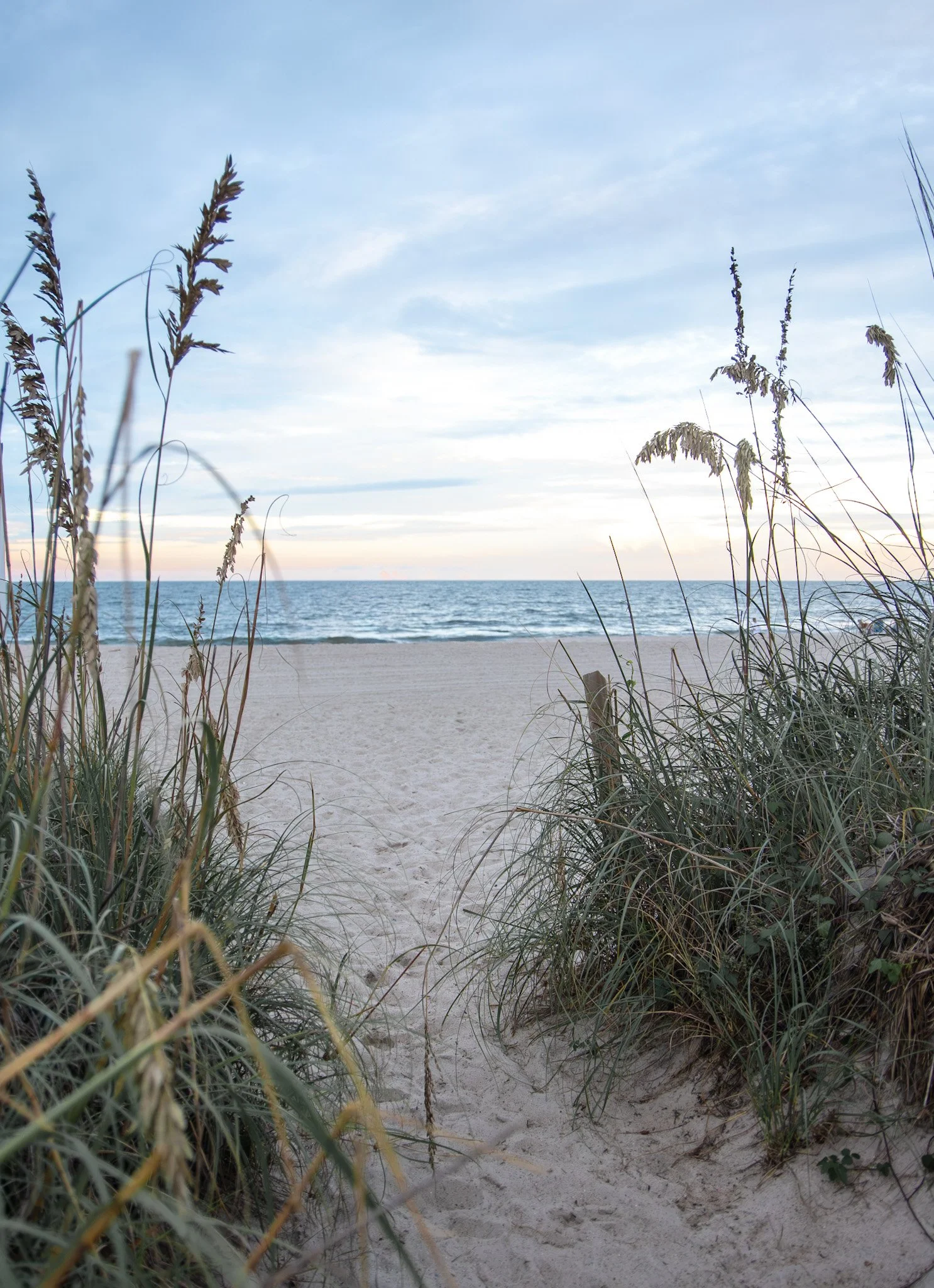 Seagrass Shores 