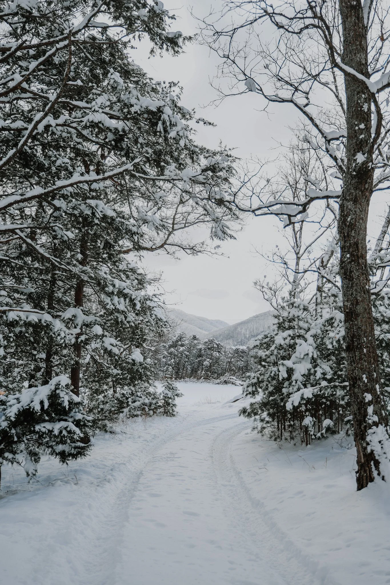 Snow Way