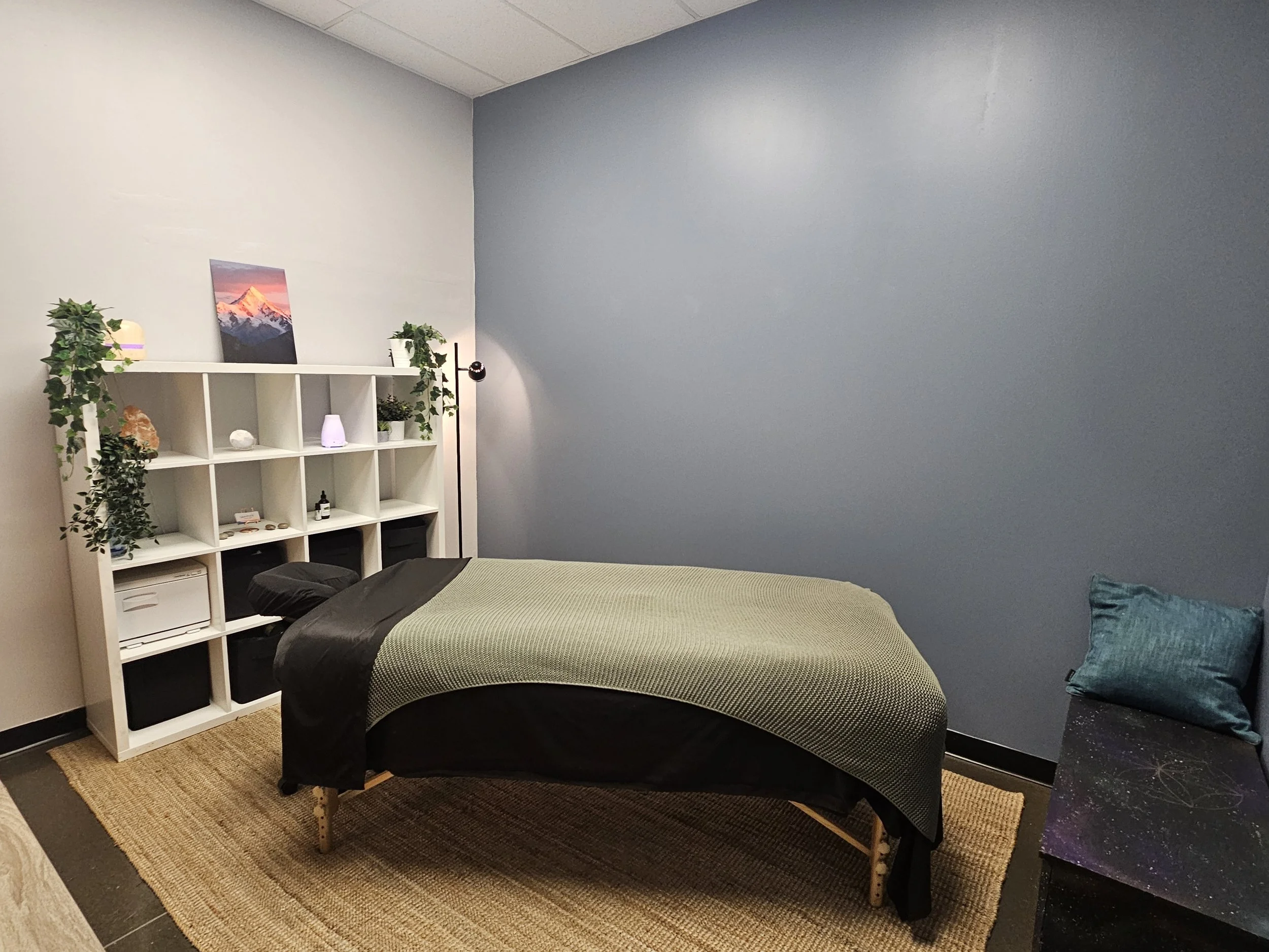 A room with a double bed covered with a green and black bedspread, a white cubical shelf with plants and decor, a small lamp, and framed artwork of a mountain, with a beige rug and blue and green pillows on the bed.