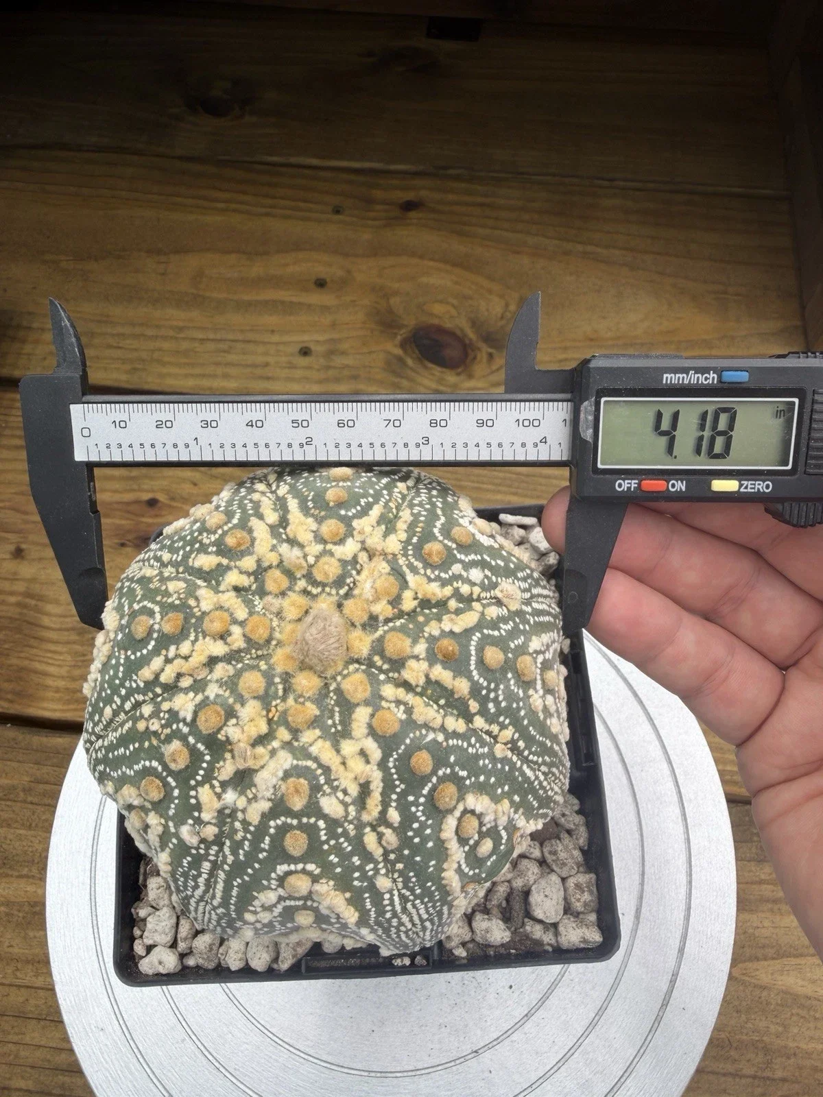 s-l1600 (9).webp