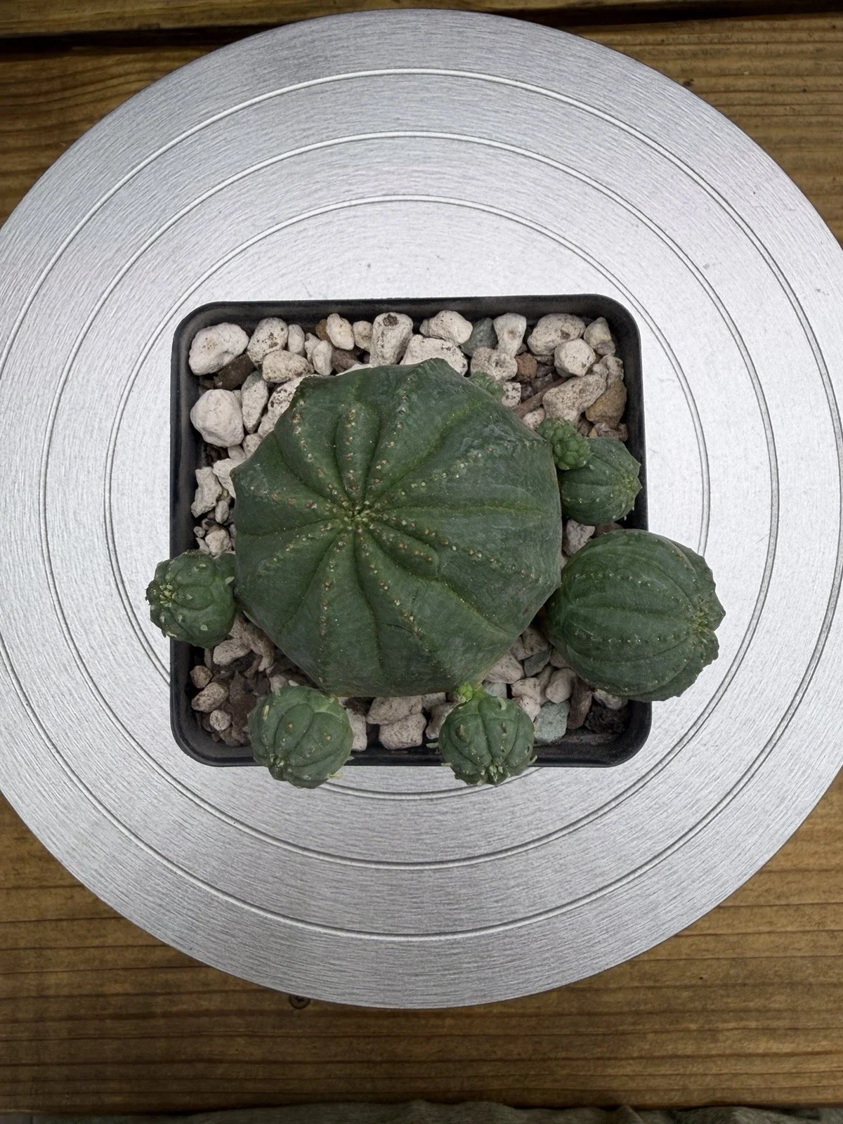s-l1600 (56).webp