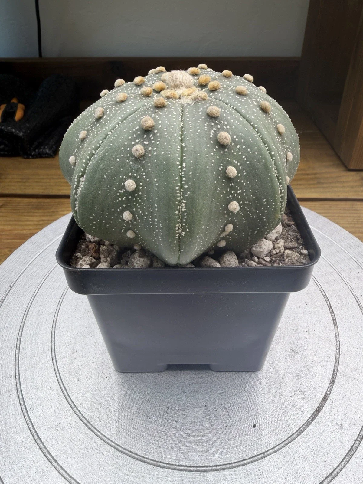 s-l1600 (1).webp