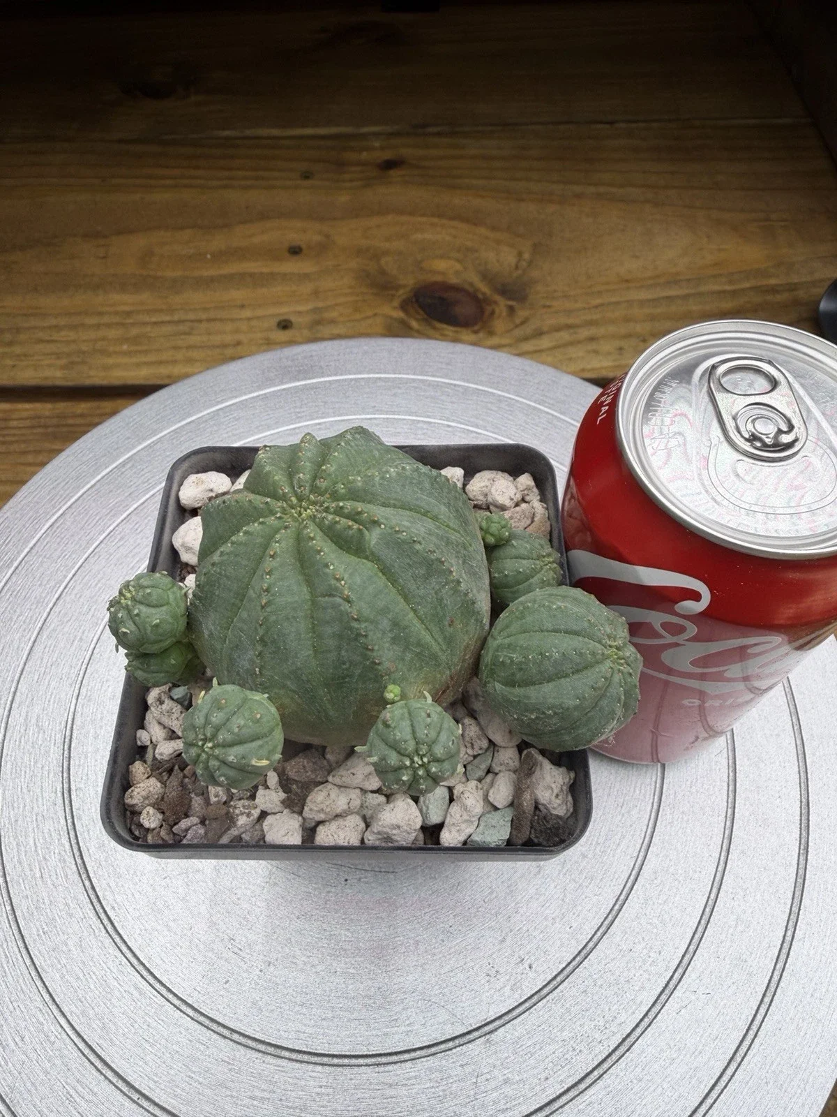s-l1600 (55).webp