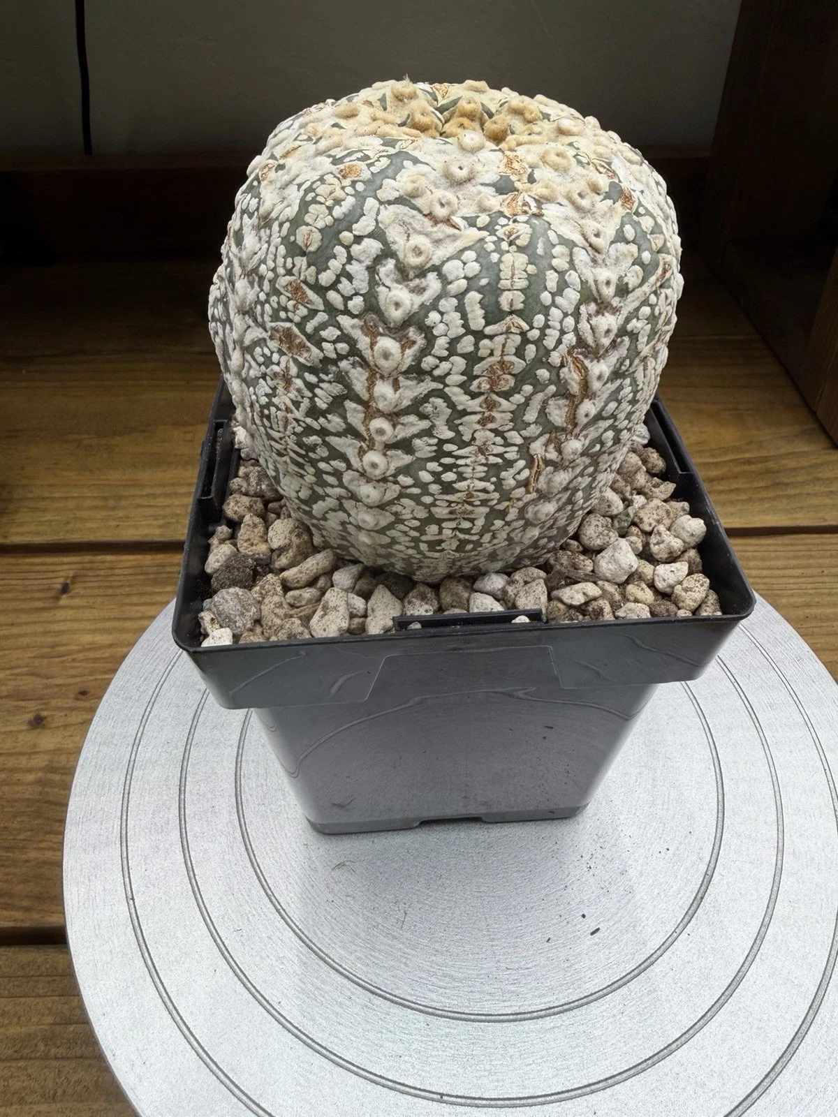 s-l1600 (37).webp