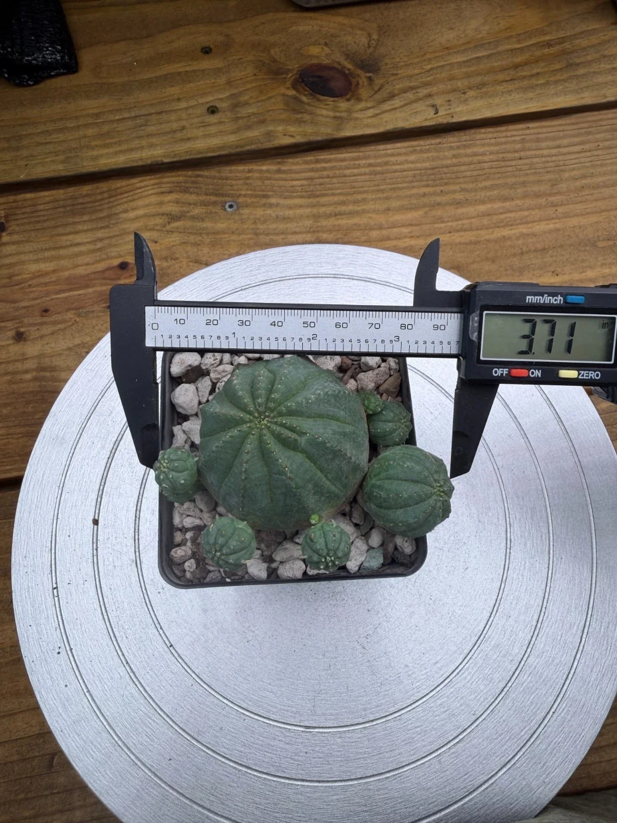 s-l1600 (57).webp