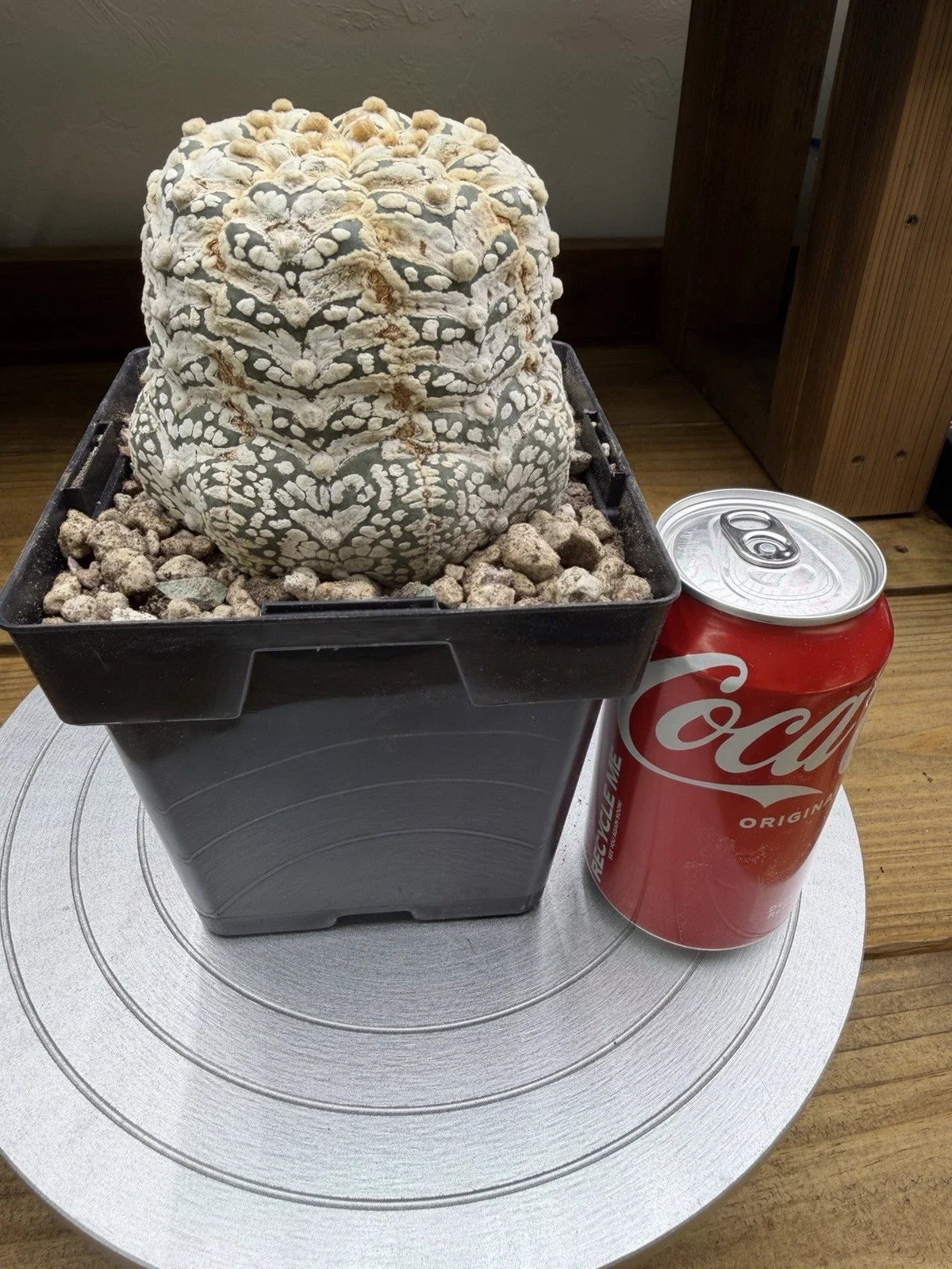 s-l1600 (44).webp