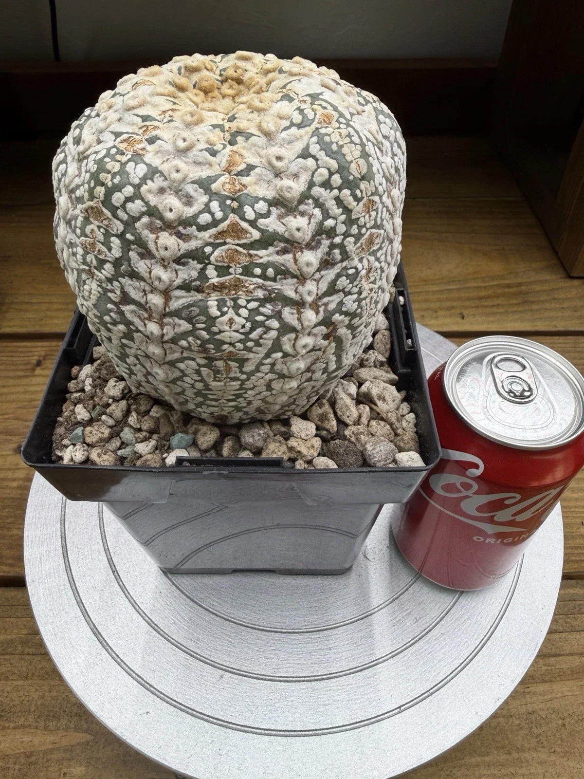 s-l1600 (33).webp