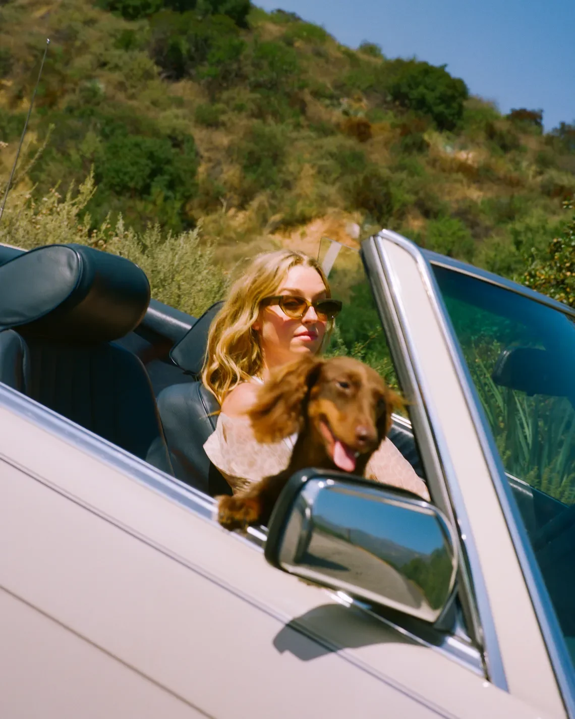 A woman with blonde hair and sunglasses riding in a convertible car with her brown dog, set against a background of lush green hills and blue sky.