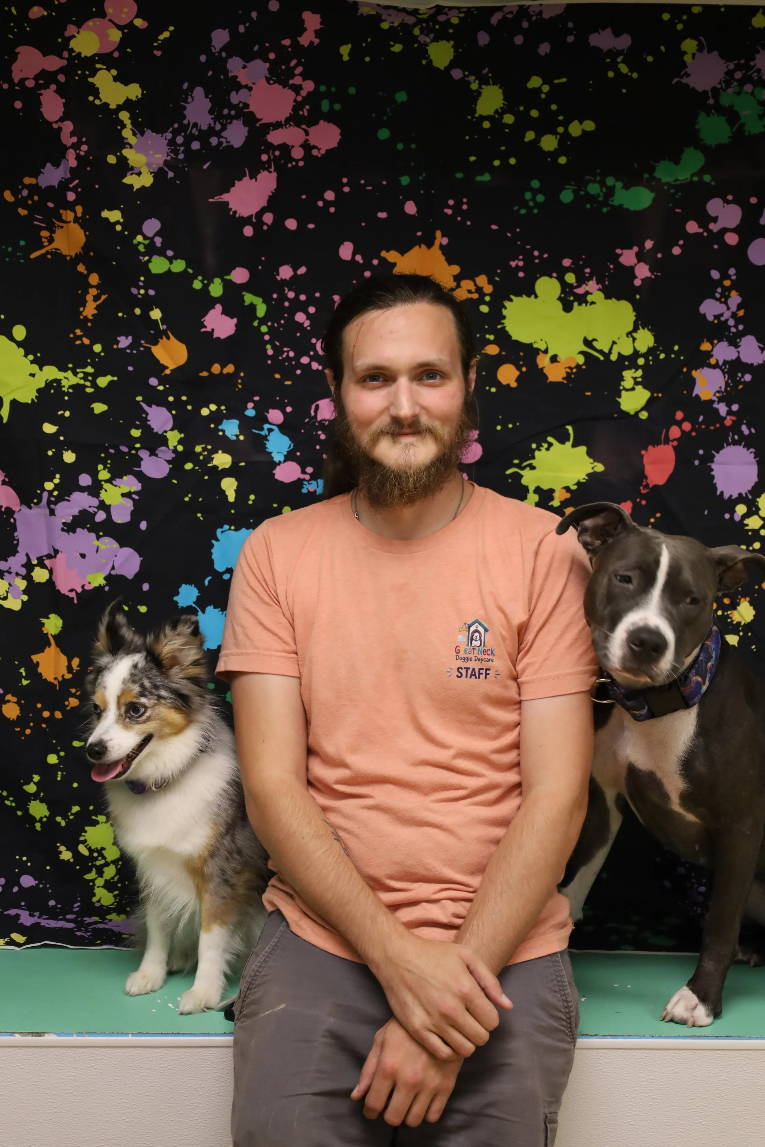 A man with a beard wearing a salmon T-shirt with a dog daycare logo, sitting in front of a colorful splatter paint backdrop, holding a border collie puppy with a merle coat and a black and white dog on either side.