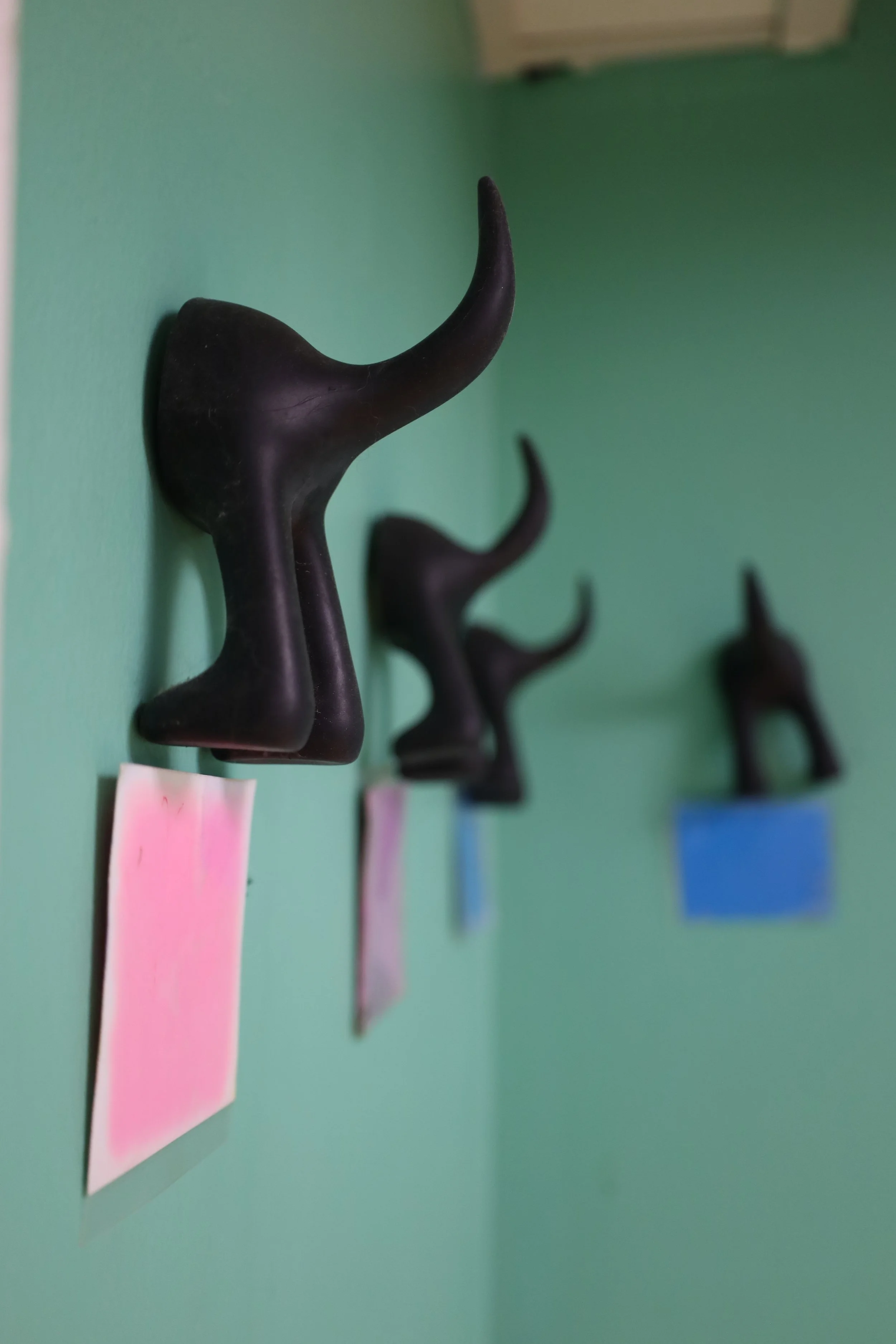 Black hooks mounted on a green wall with pink and blue notes attached beneath each hook.