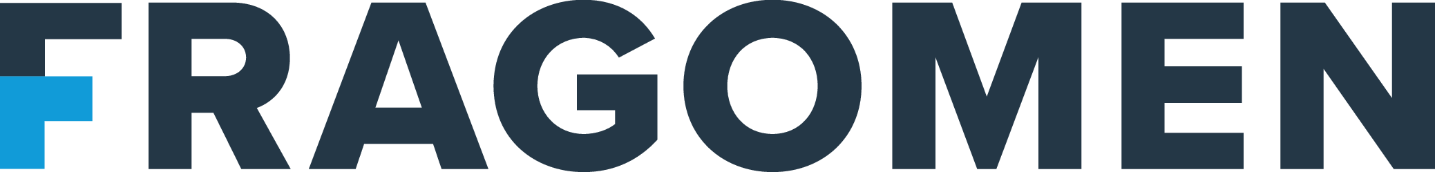 The logo of the company Fragemen, with a stylized letter F in blue and the word 'FRAGMENT' written in bold dark letters.