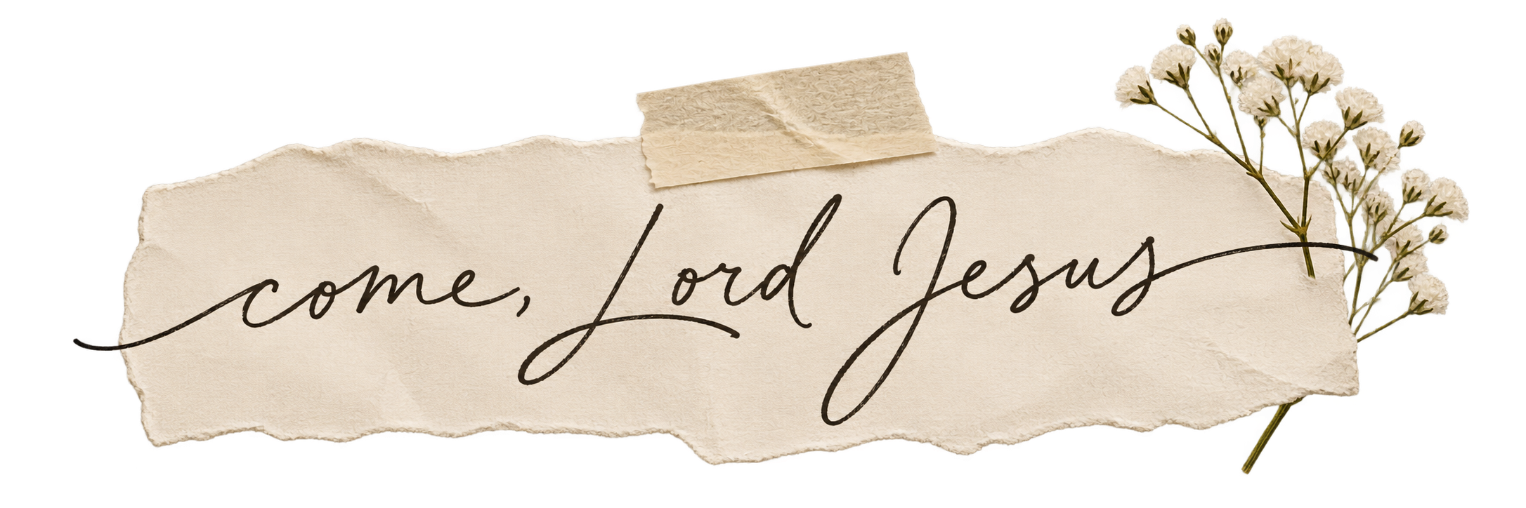 Handwritten note reading "come, Lord Jesus," taped to torn cream paper with baby's breath.
