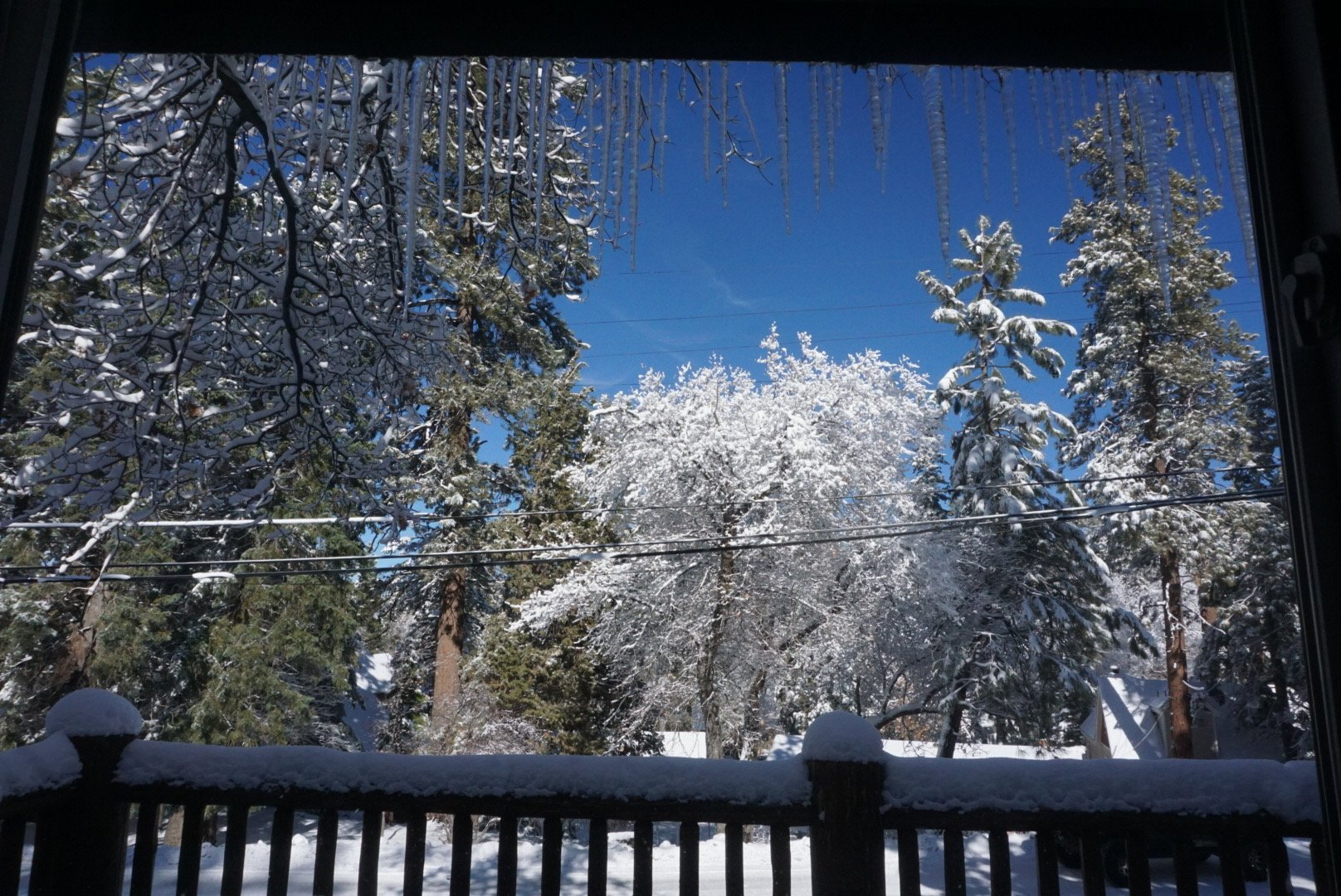image0-1.jpeg