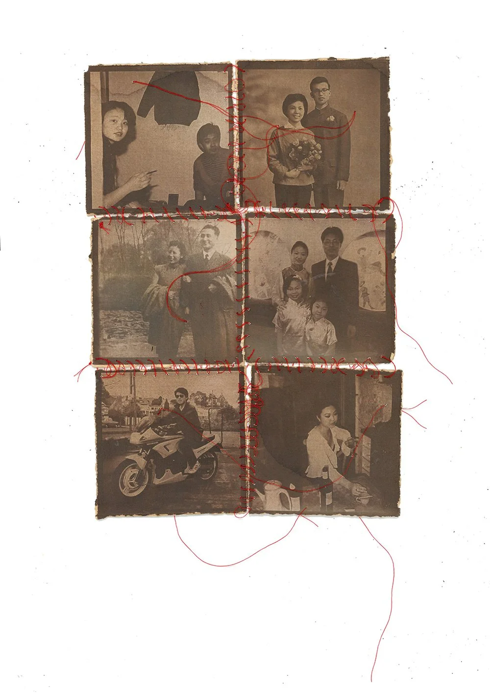 Untitled, 2026, cyanotype on watercolour paper, tea, red thread