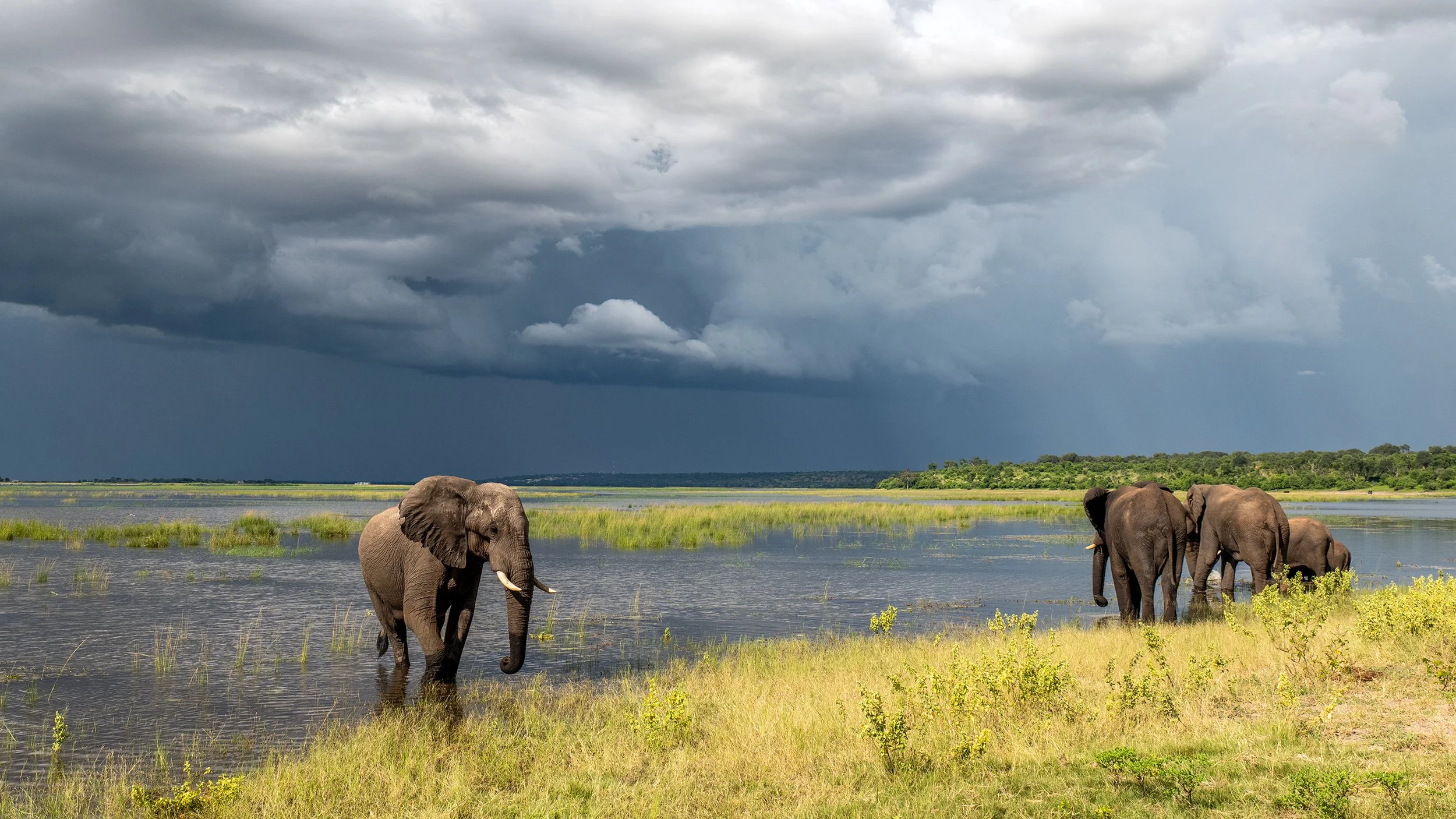 African Magic - my first tour of 2026