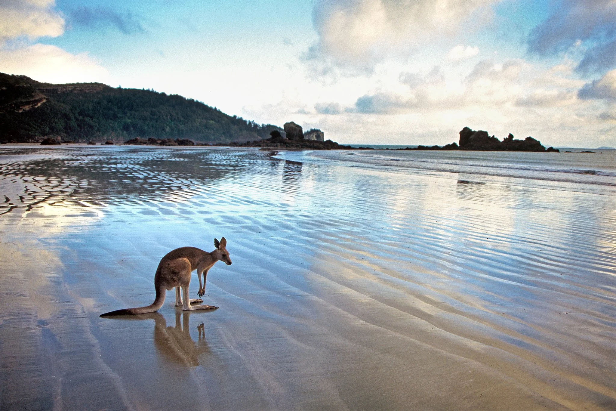 Cape Hillsborough, Qld