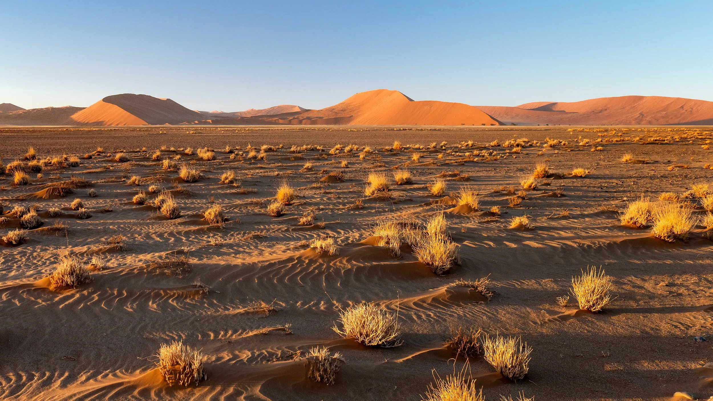 Sossusvlei Desert; Namibia 2026