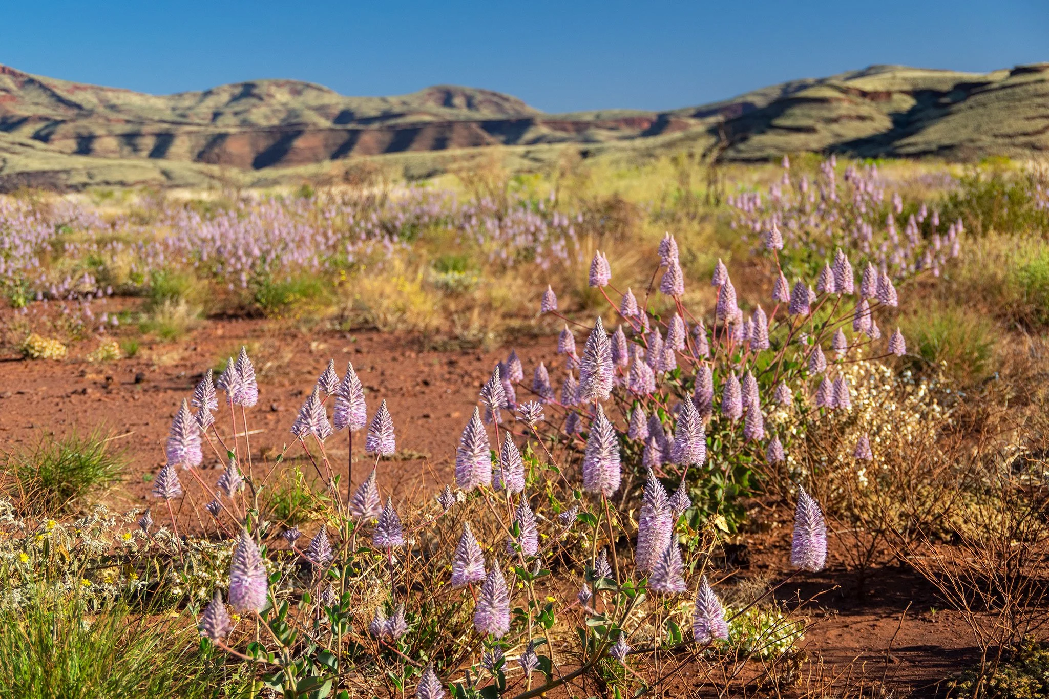 Pilbara Region, WA