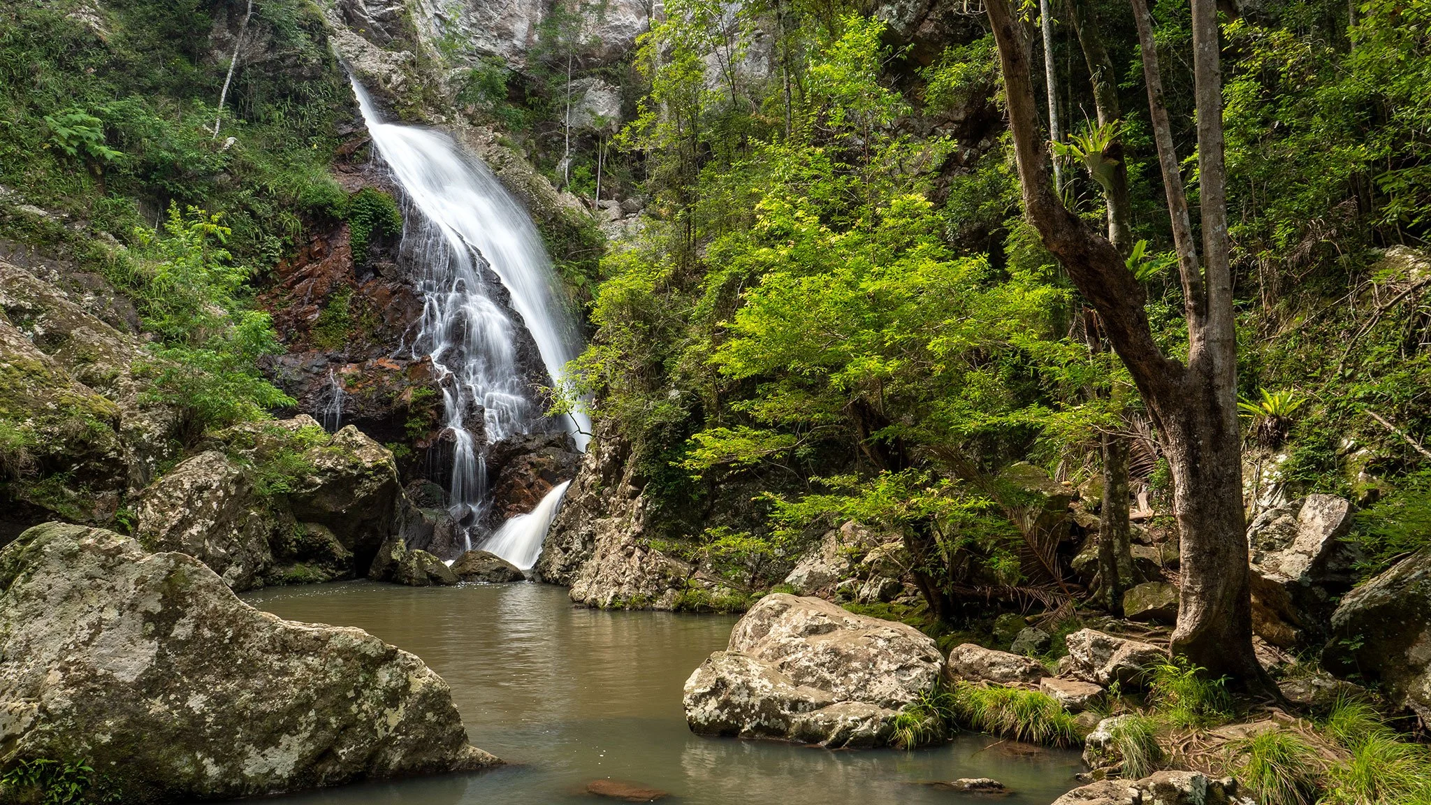 Baxter Creek Falls, Blackall Range