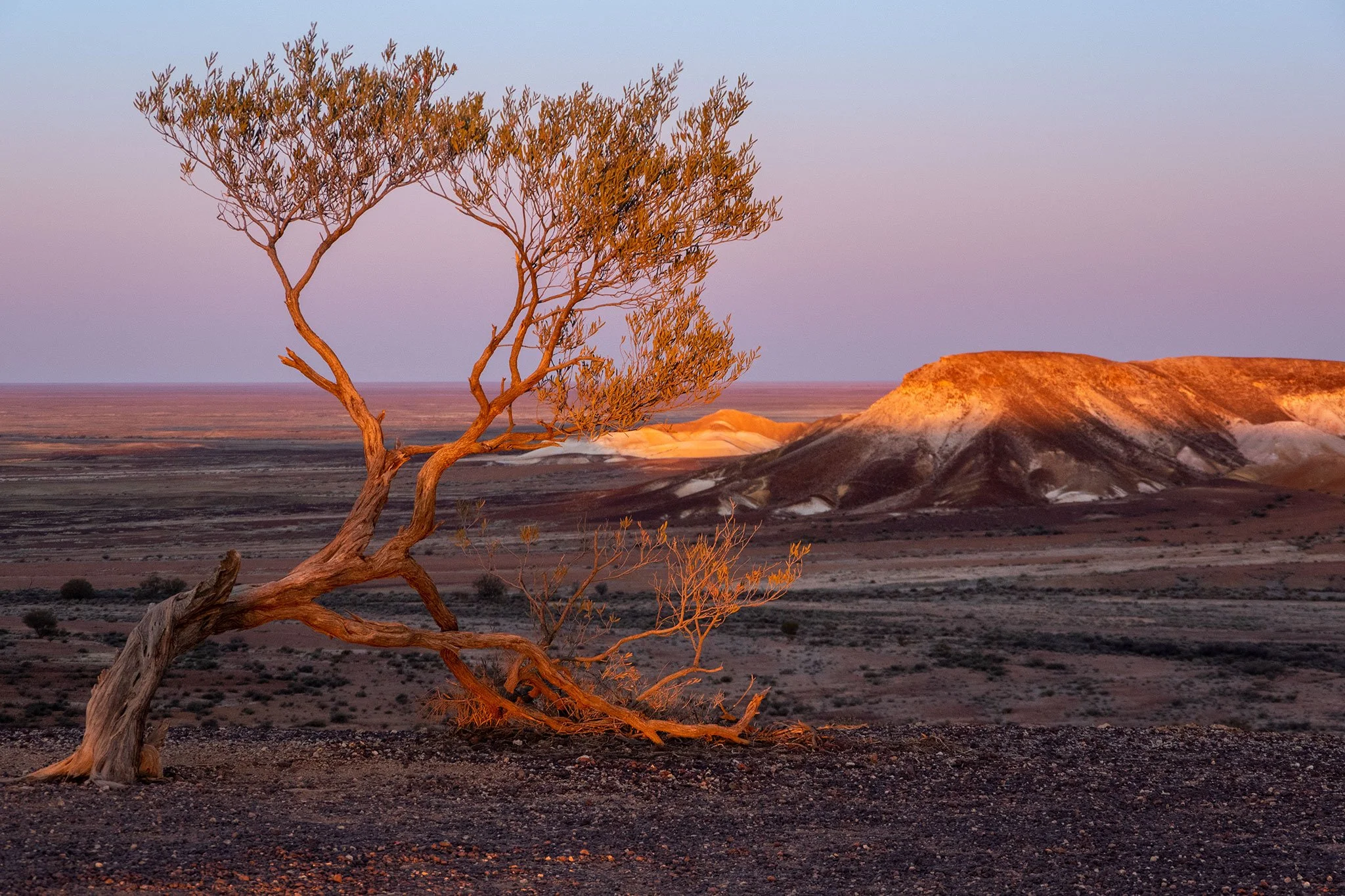 The Breakaway, Coober Pedy, SA