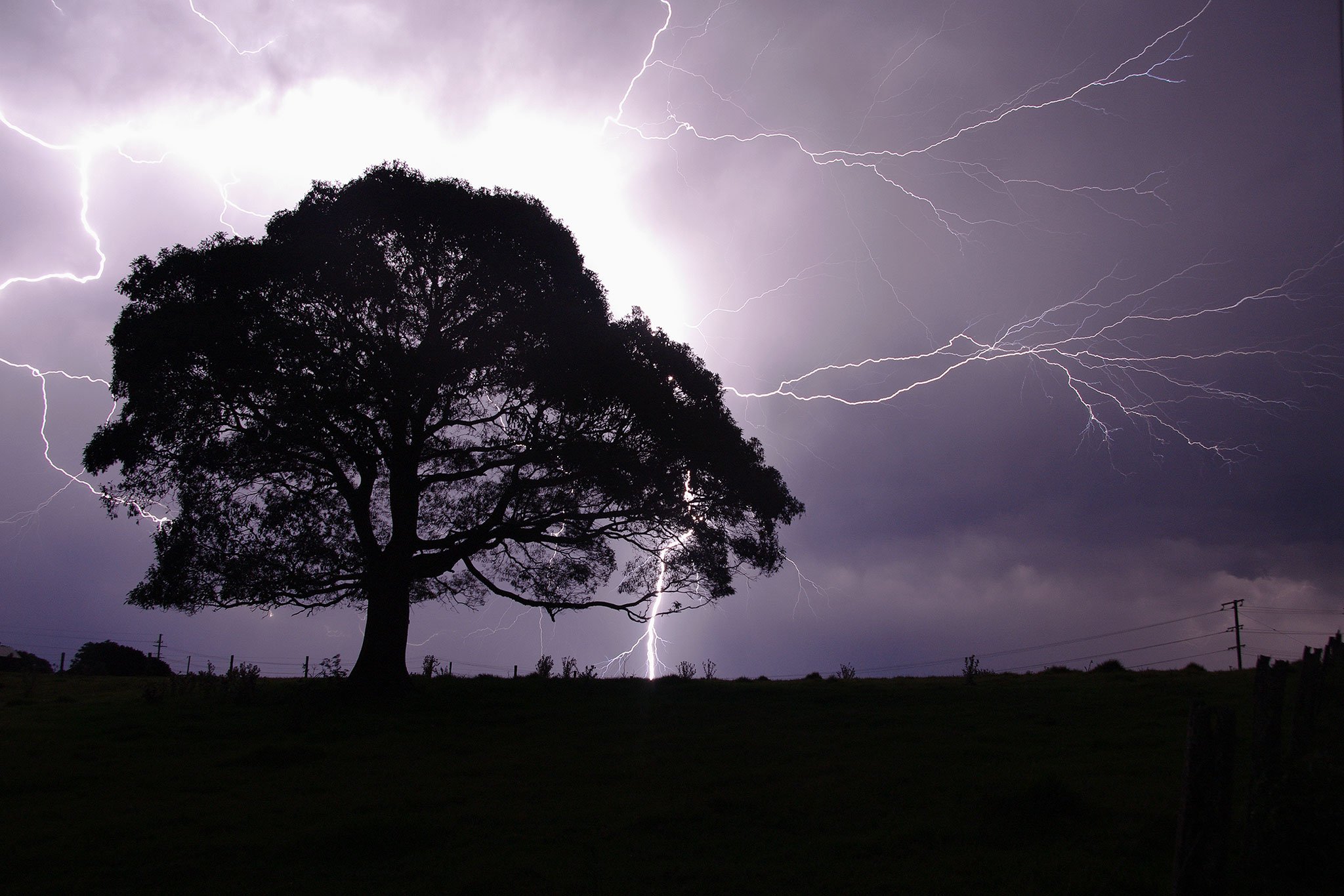 Summer Storm, Maleny