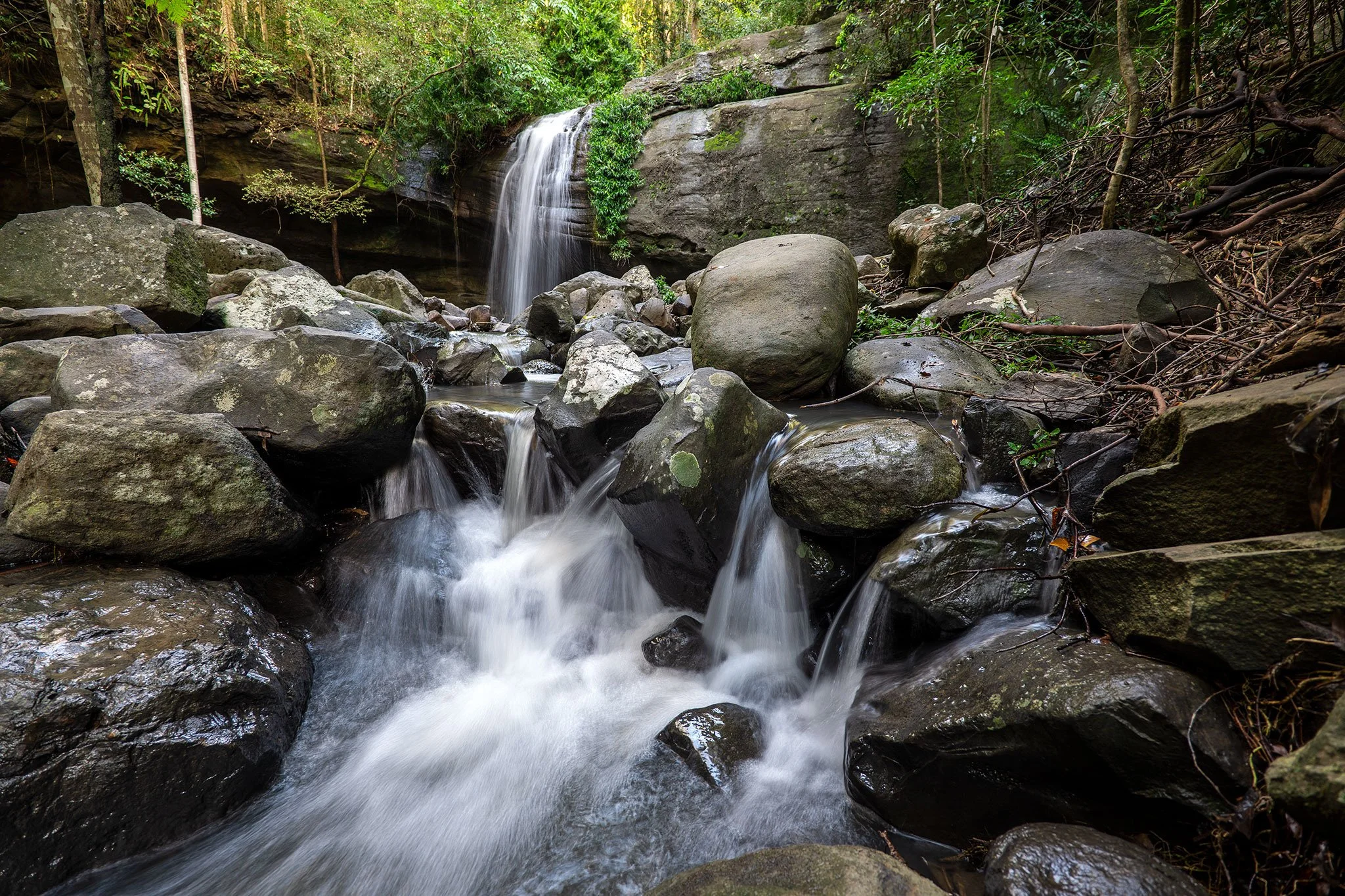 Serenity Falls, Buderim