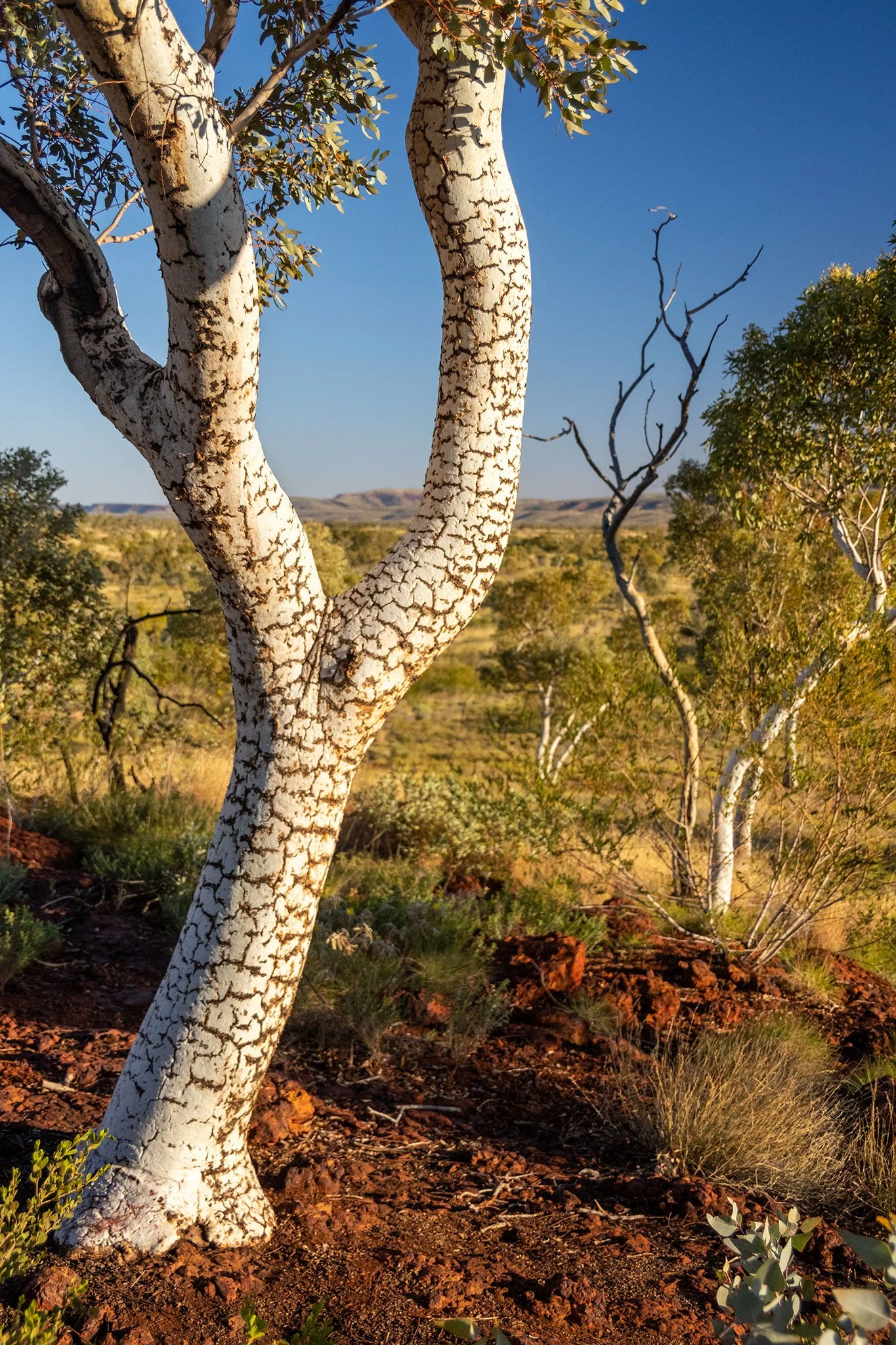 Karijini National Park, WA