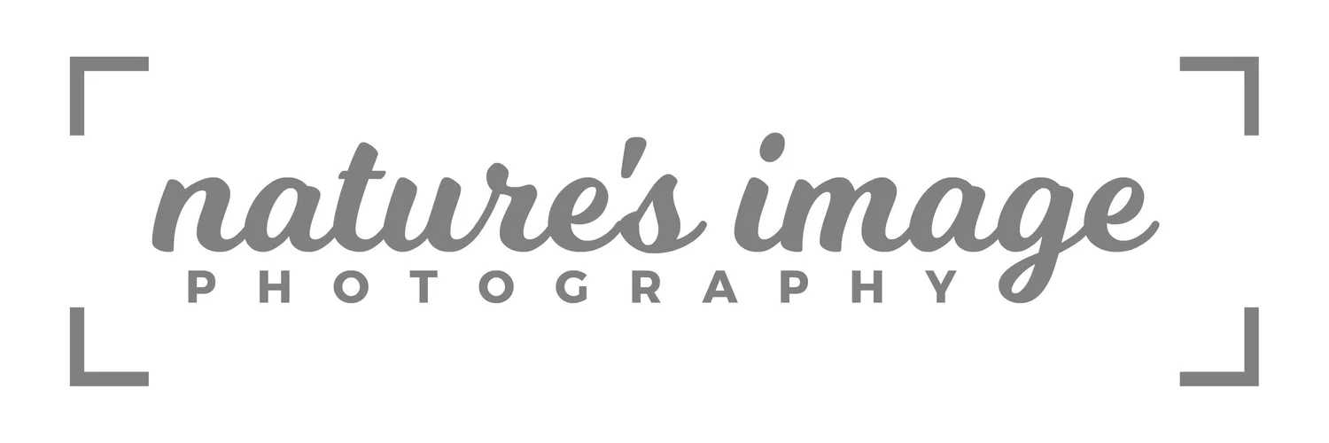 Nature's Image Photography
