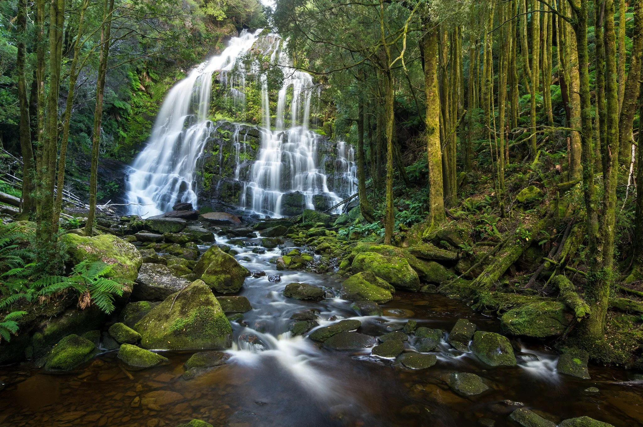 Nelson Falls, Tasmania