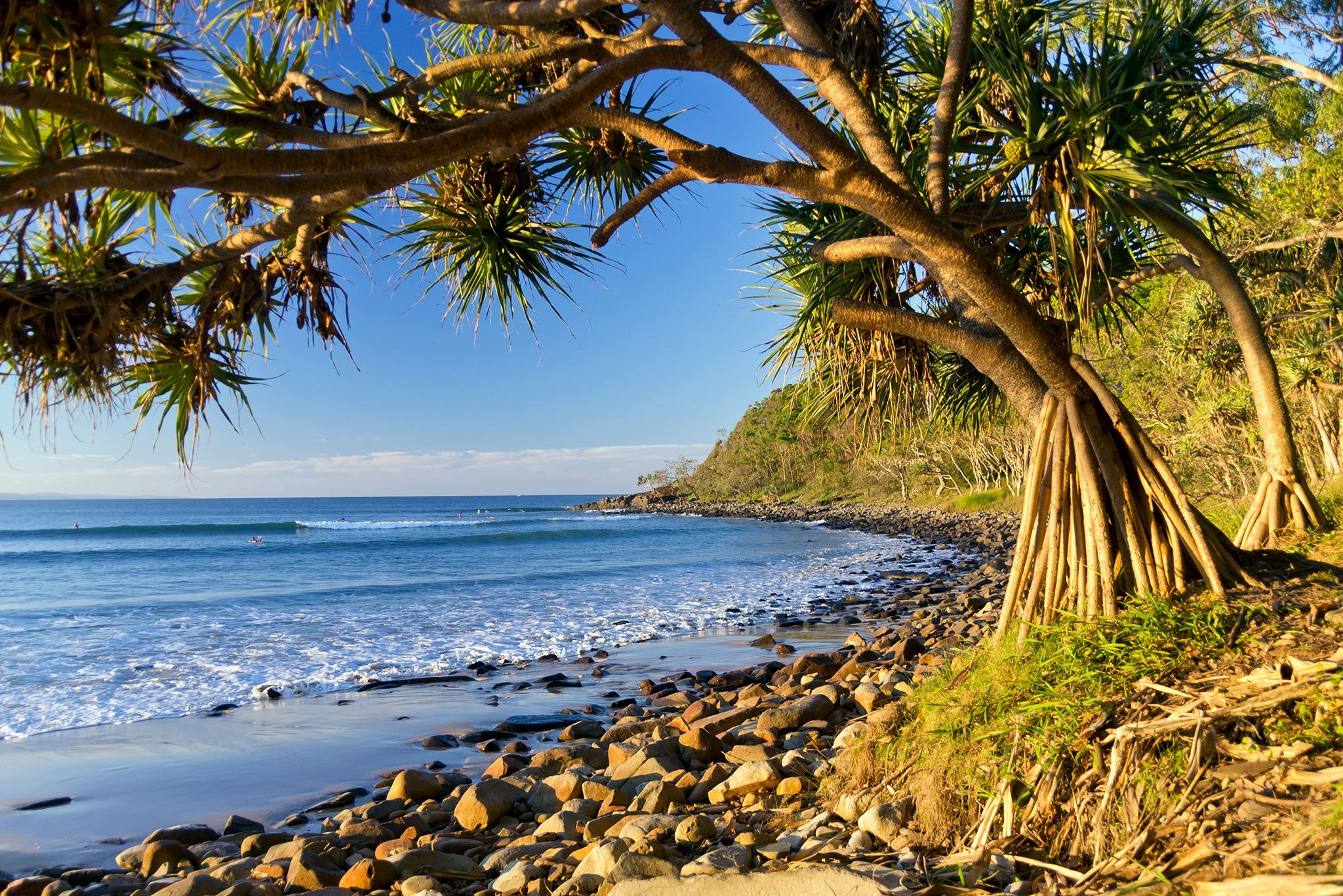 Noosa National Park