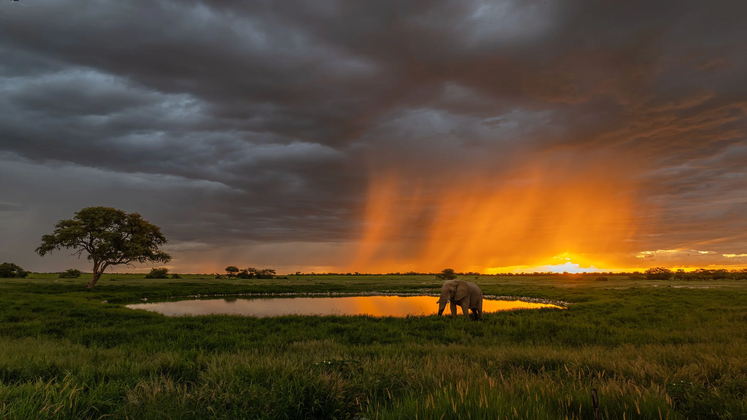 Waterhole Sunset, Etosha National Park; Namibia 2026