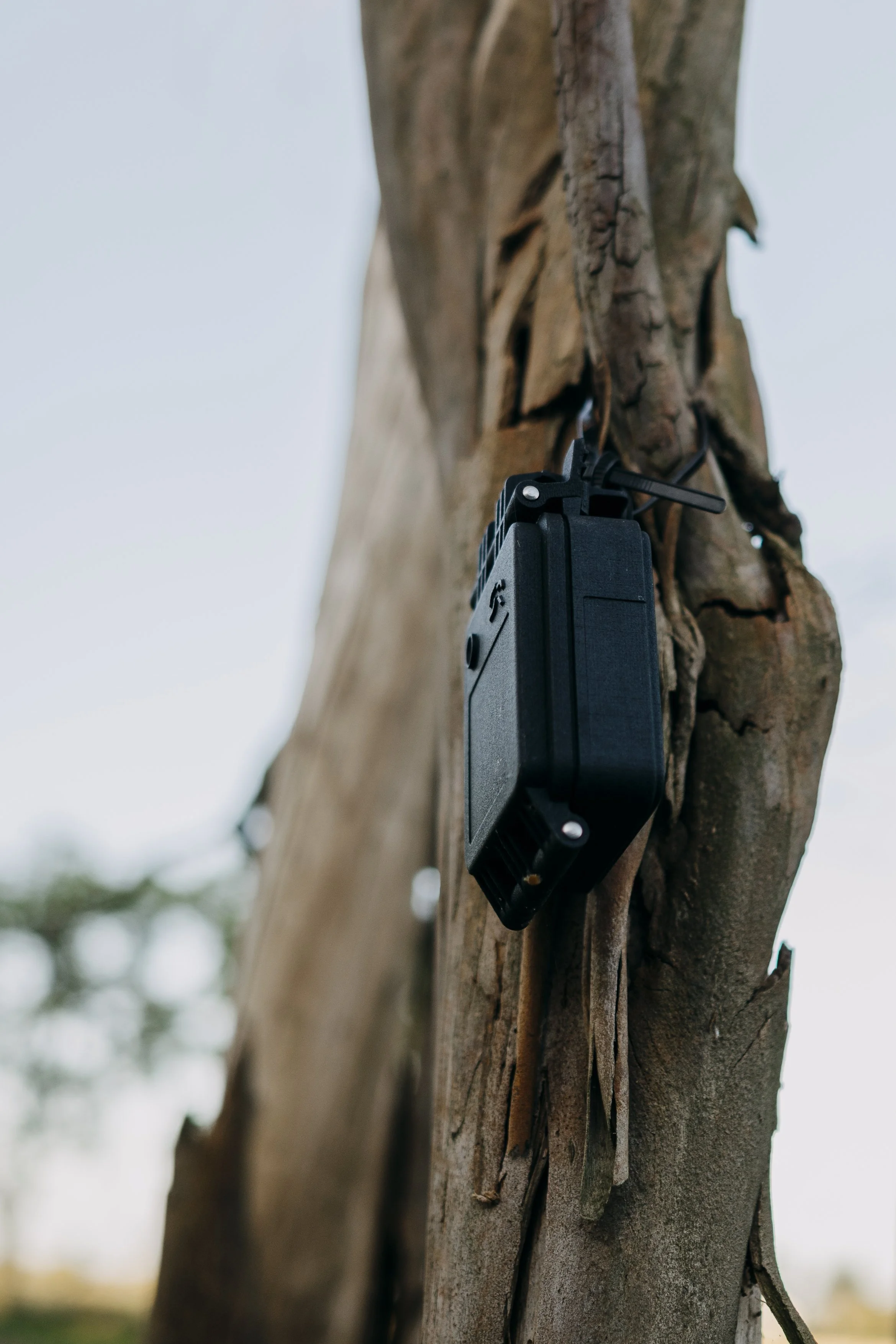 20260821F Bat Detector-3.jpg